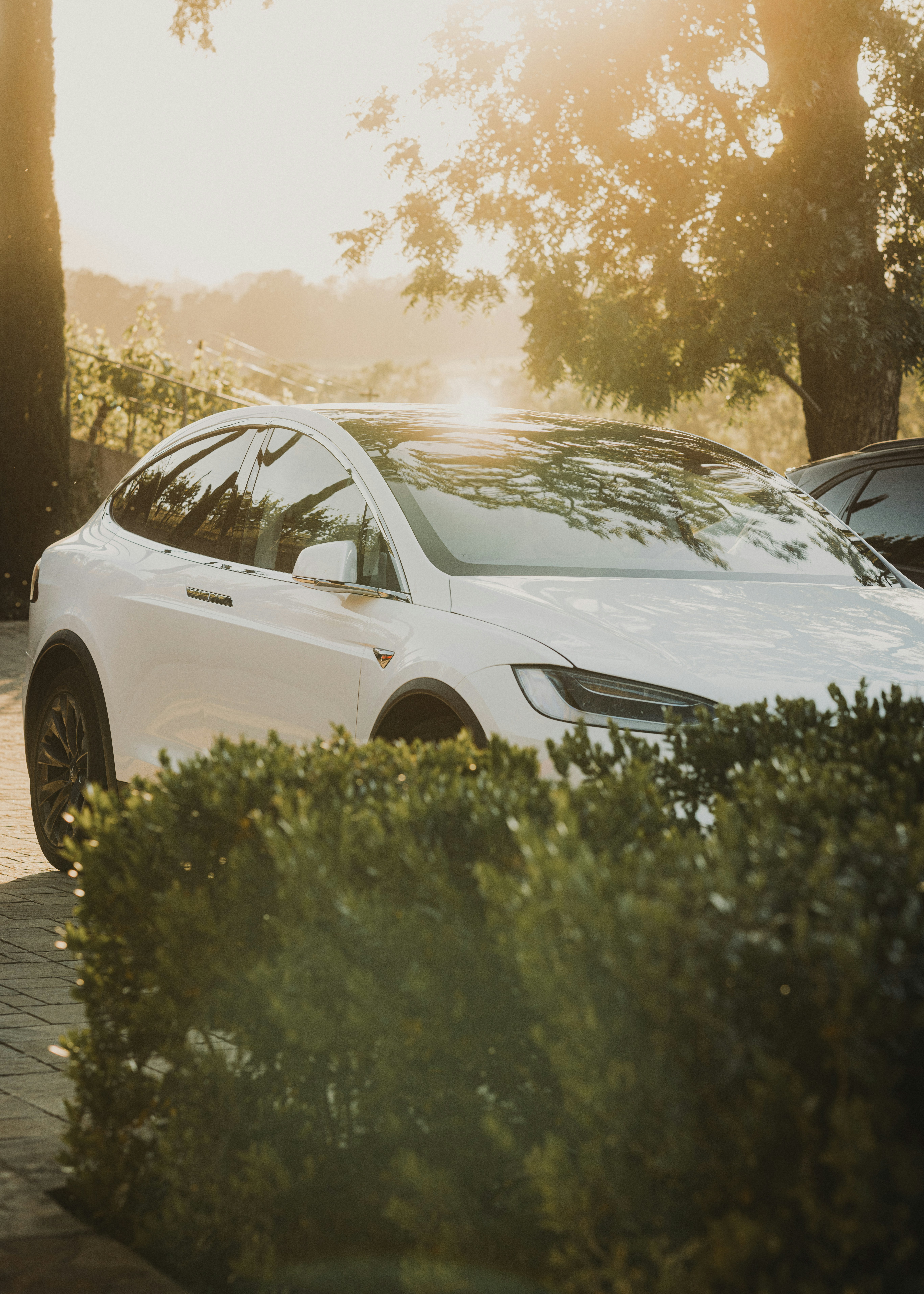 Photo by gilleyaguilar