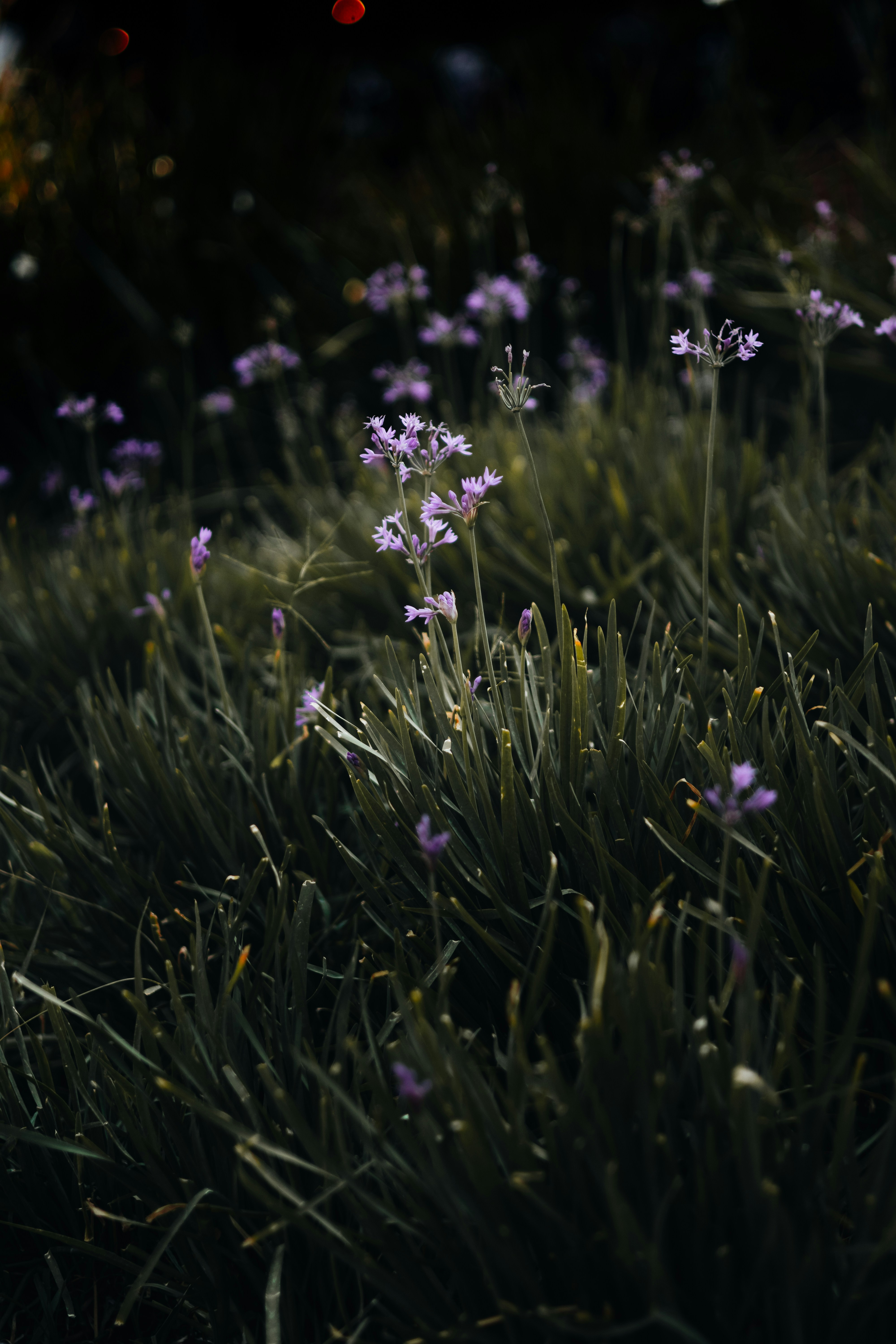 Photo by manucinephoto