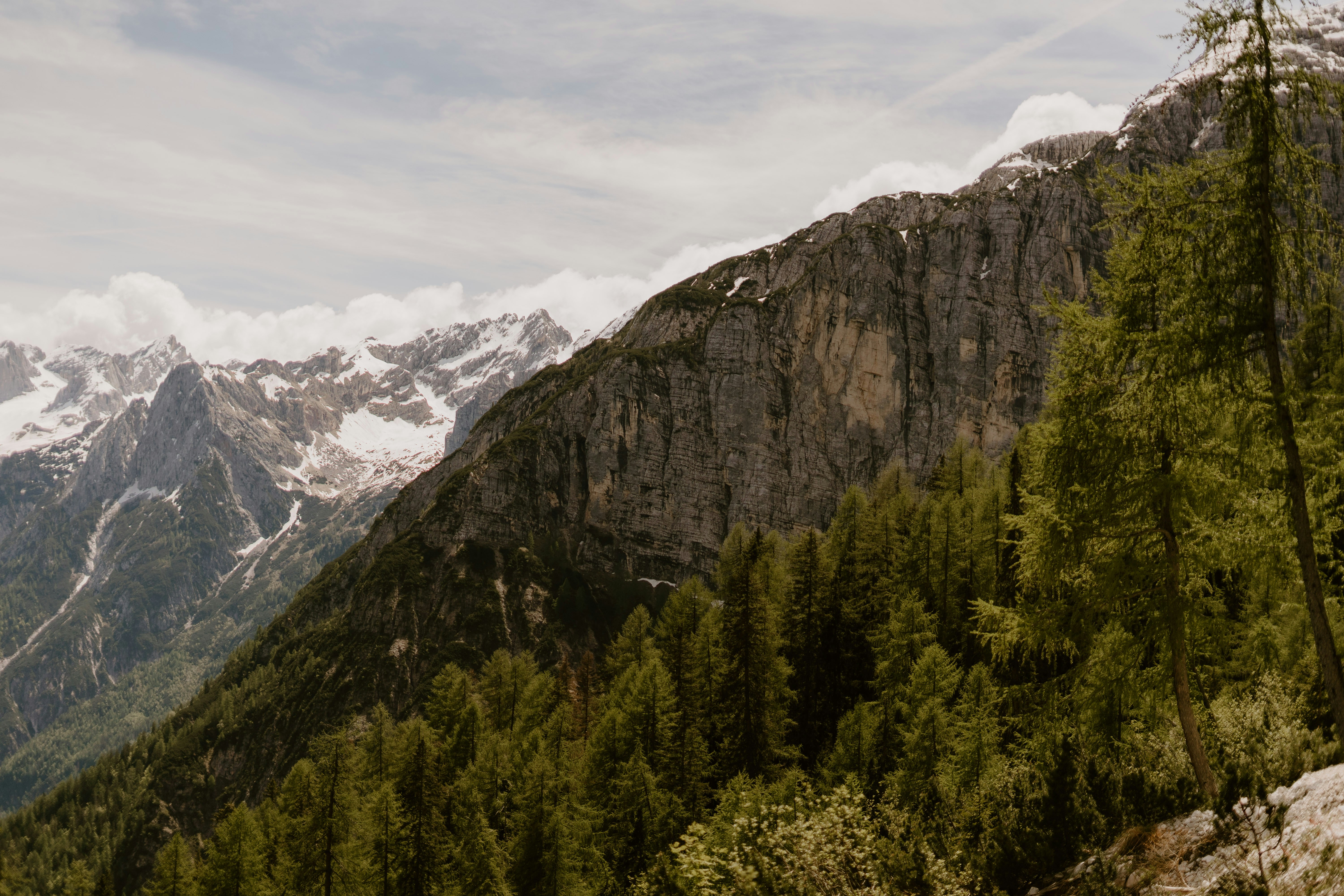 Photo by lenakestler