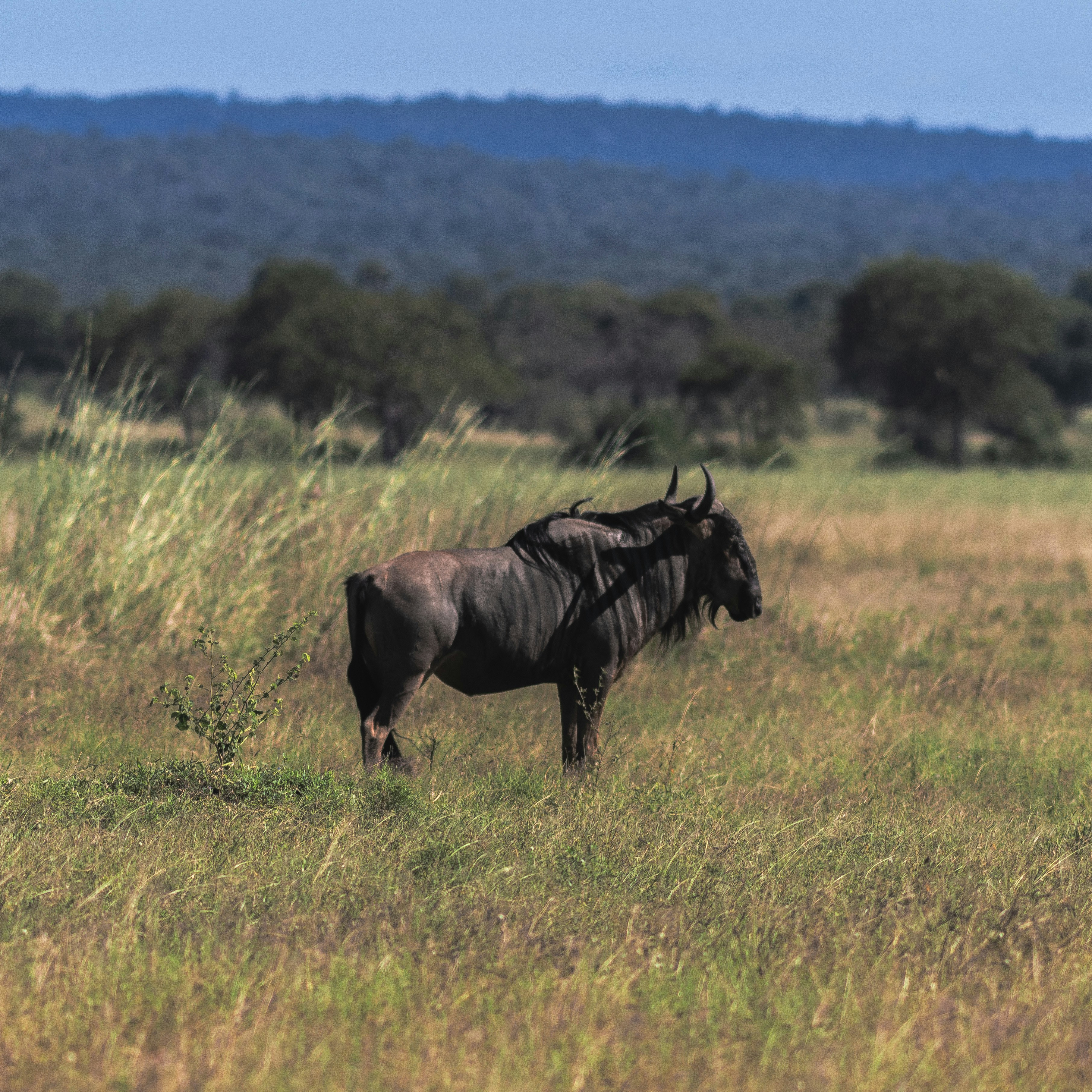 Photo by starkie_pics