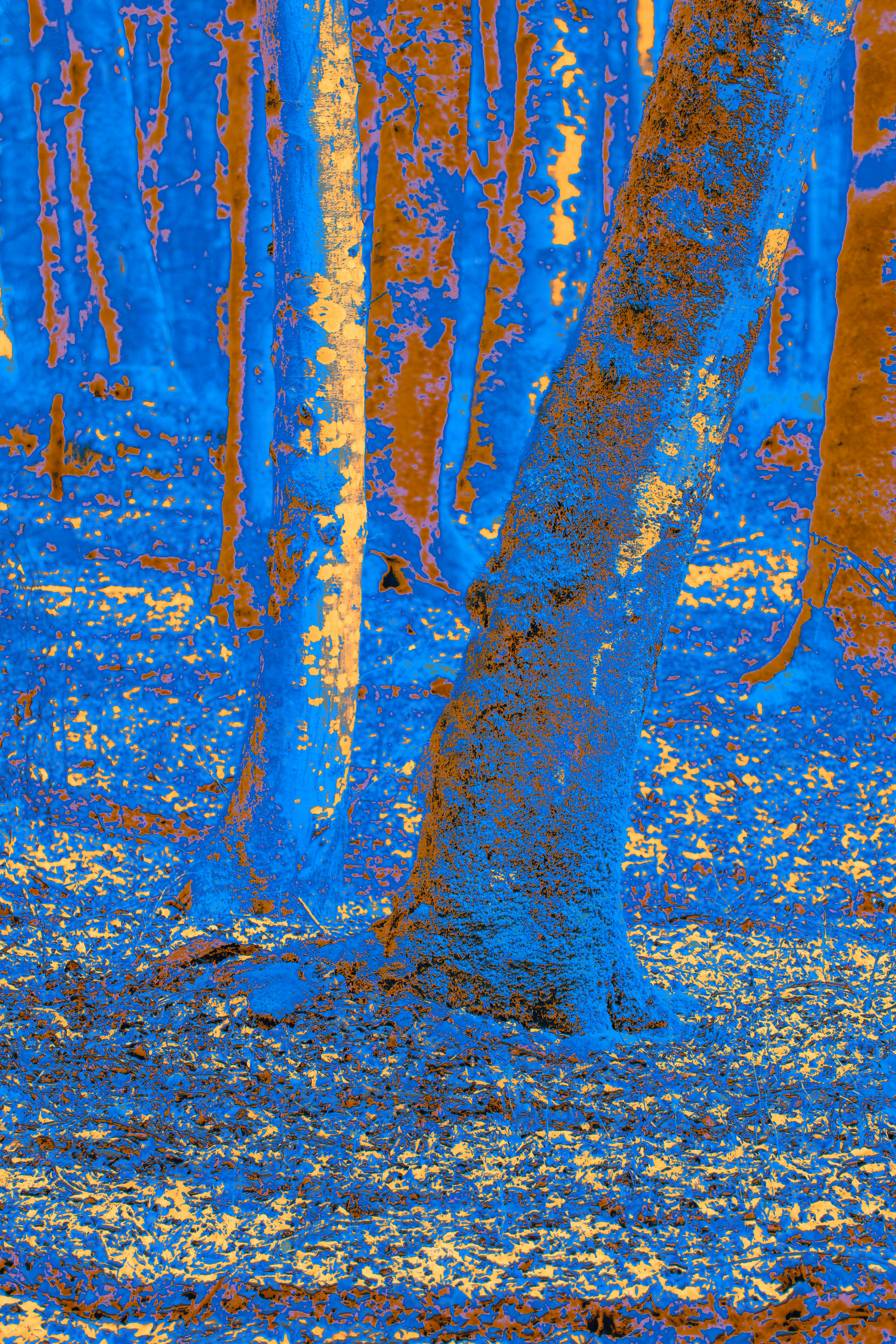 Photo by wolfgang_hasselmann