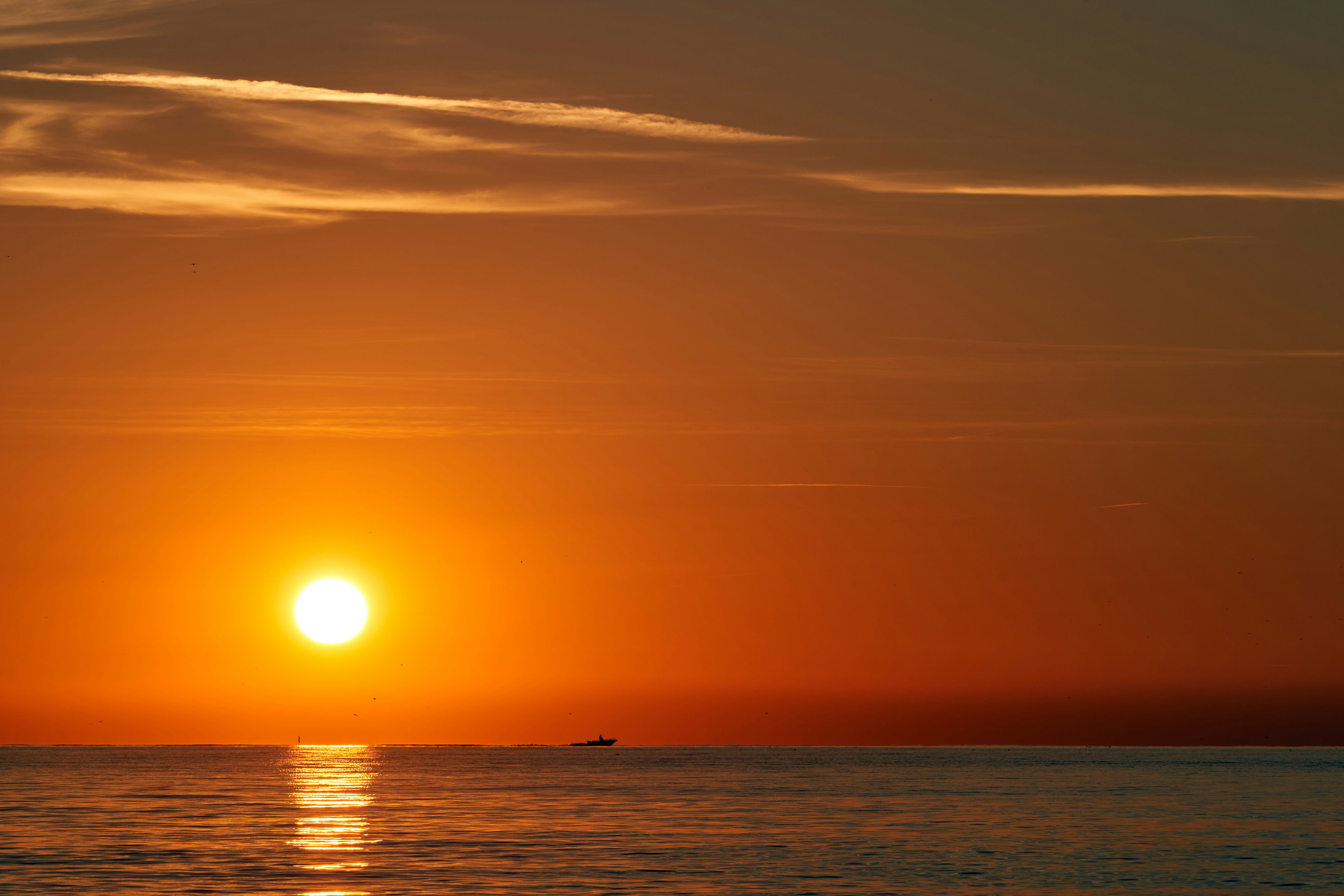 Photo by wolfgang_hasselmann