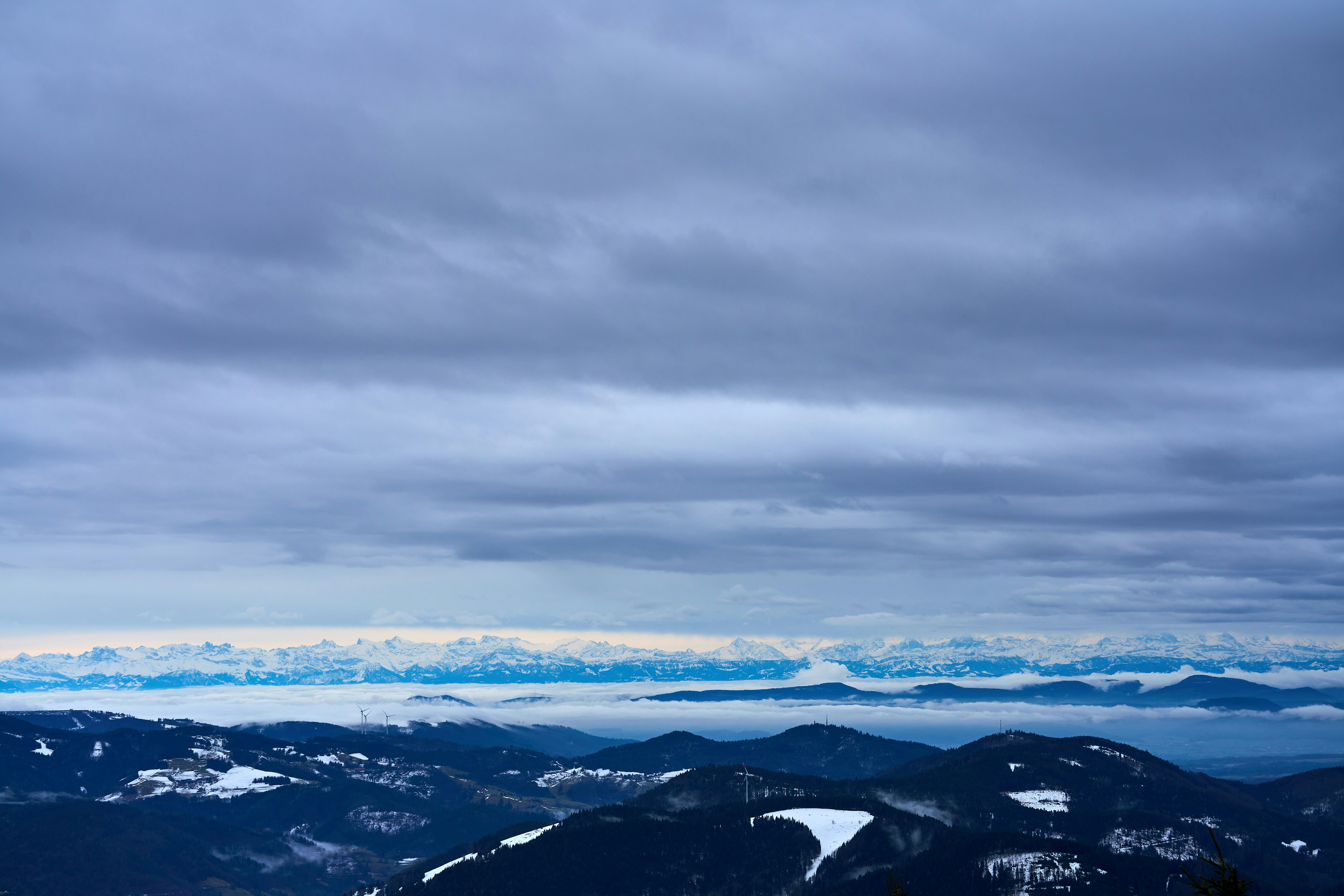 Photo by wolfgang_hasselmann