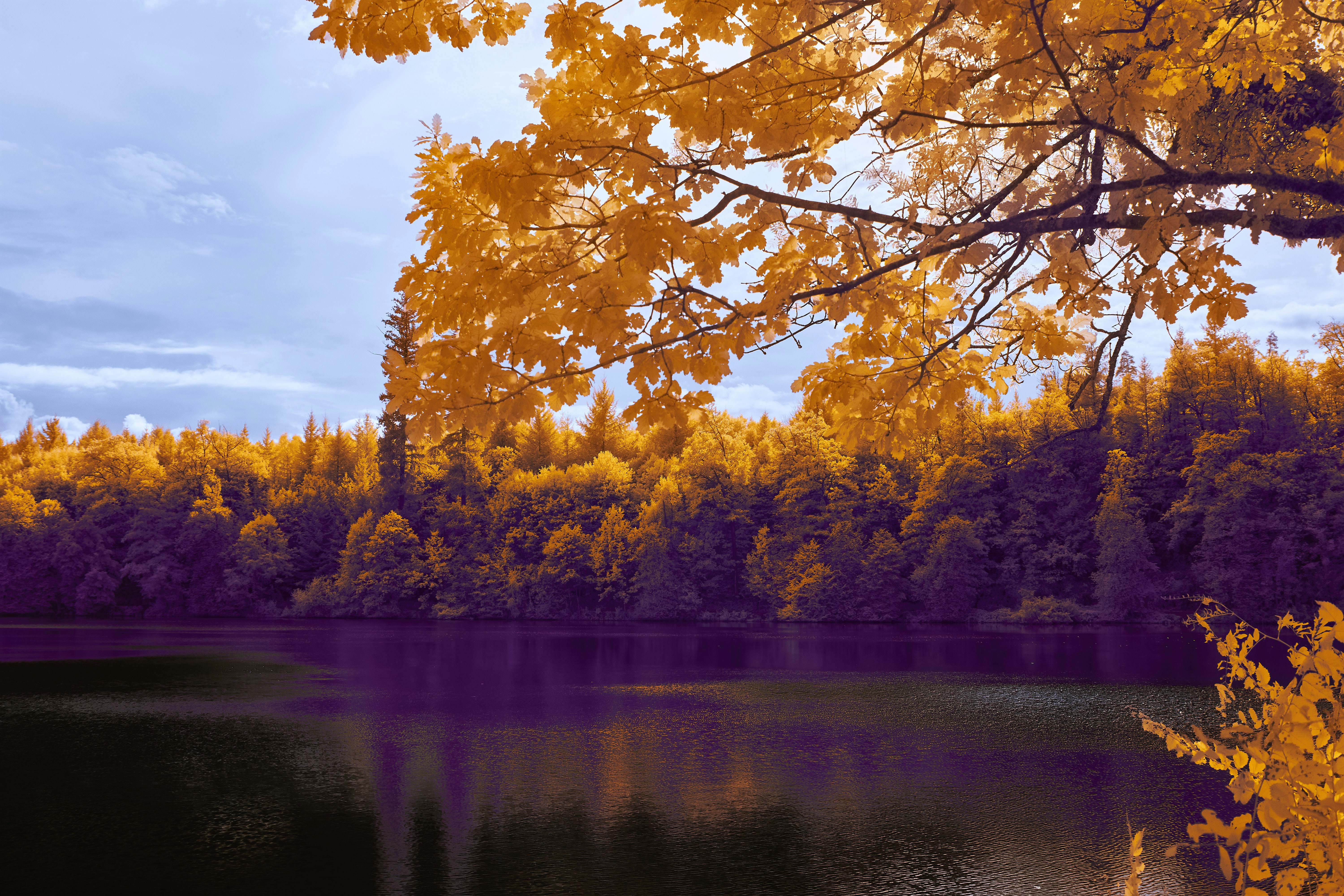 Photo by wolfgang_hasselmann