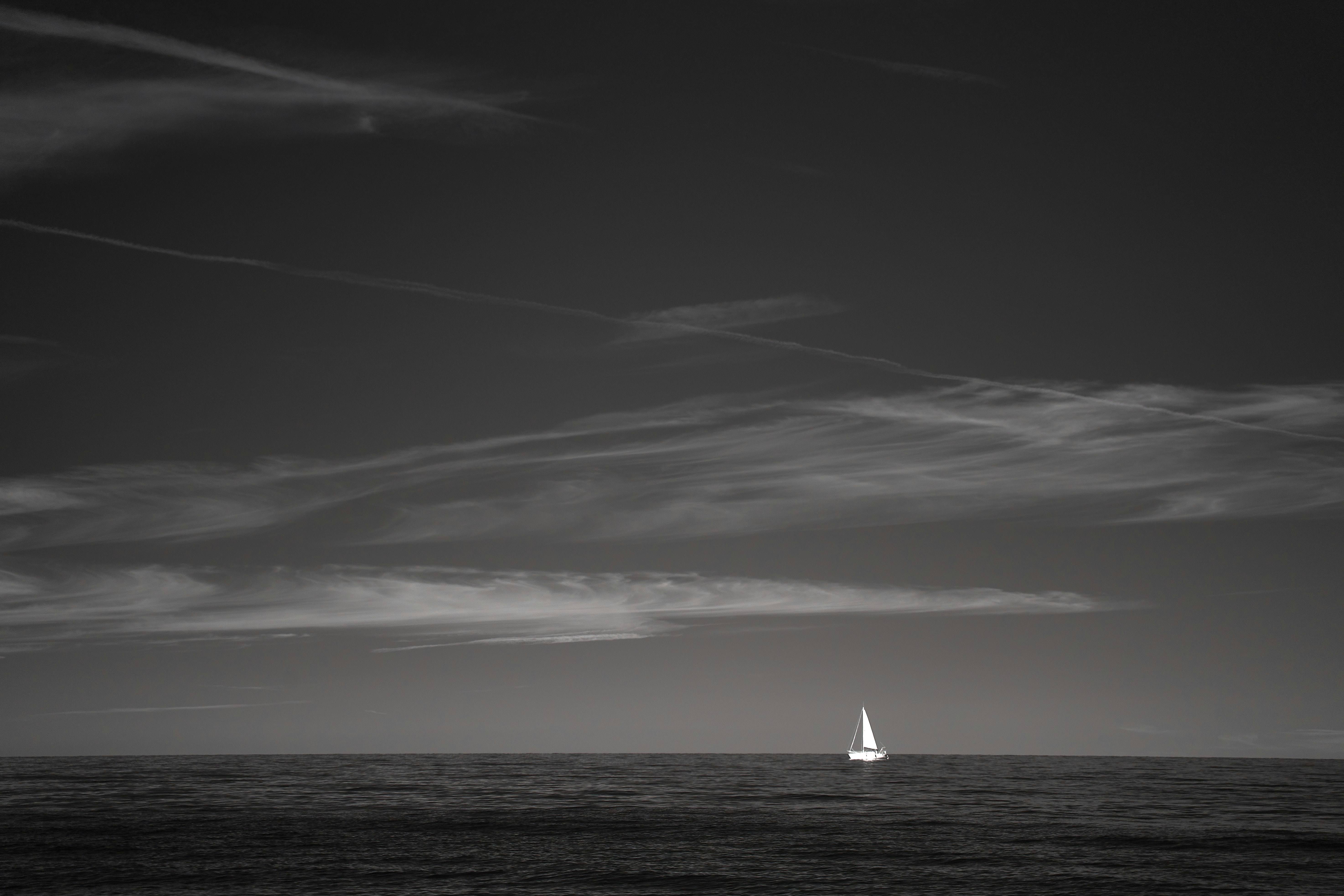 Photo by wolfgang_hasselmann