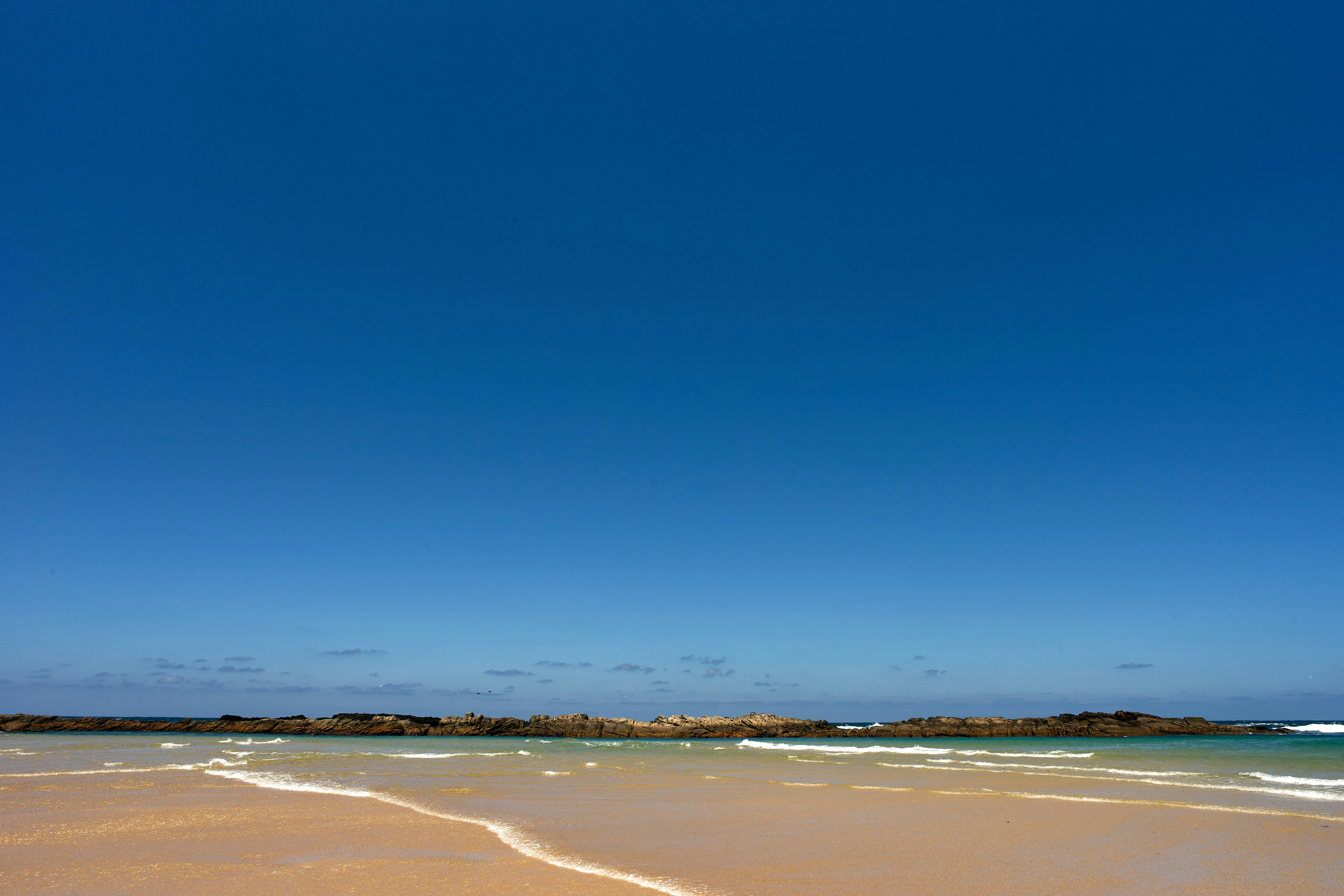 Photo by wolfgang_hasselmann