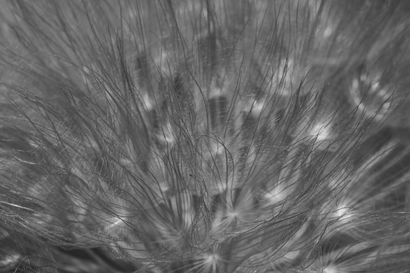 Kişisel Hijyen ve Bakım