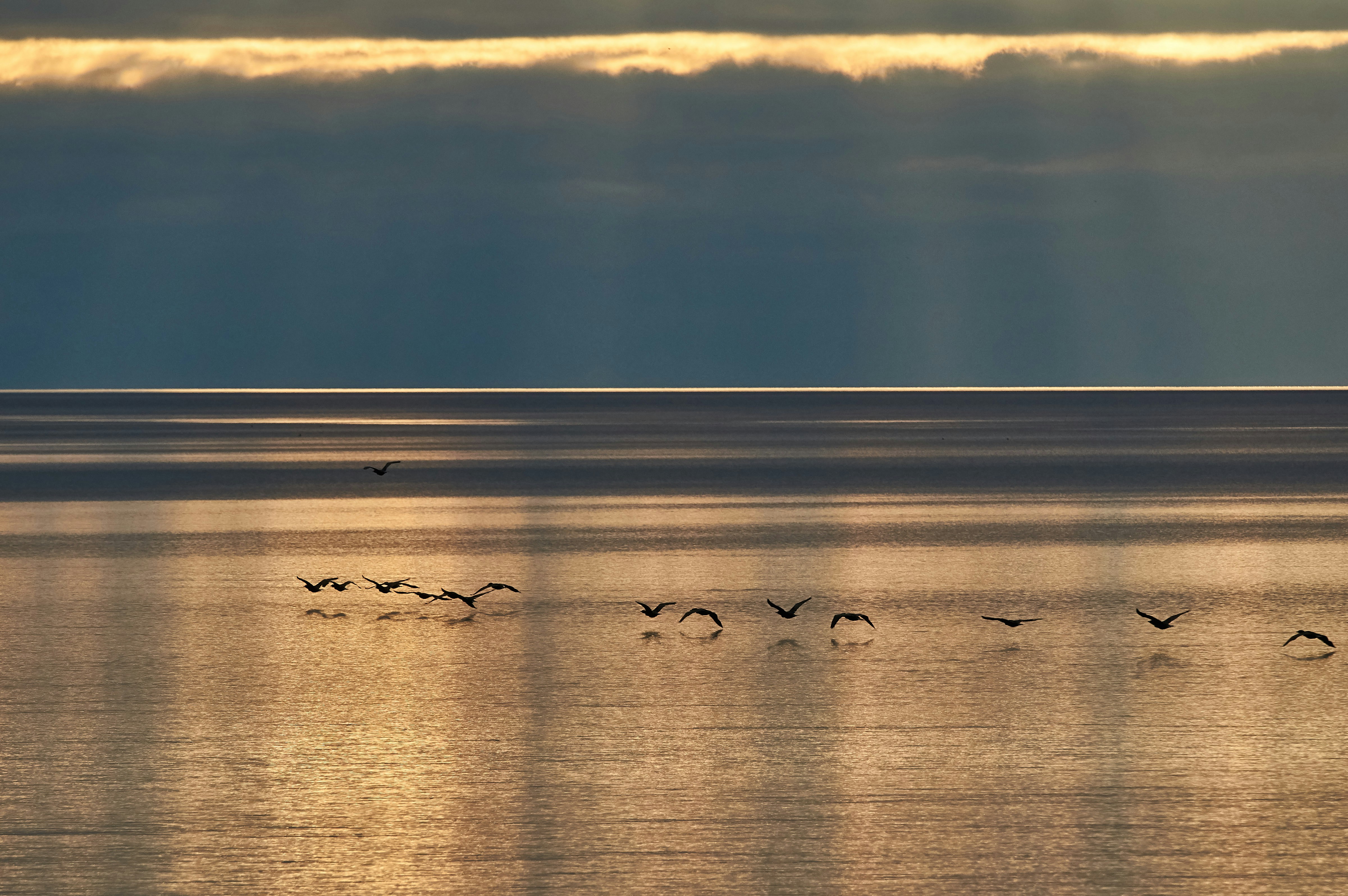 Photo by wolfgang_hasselmann