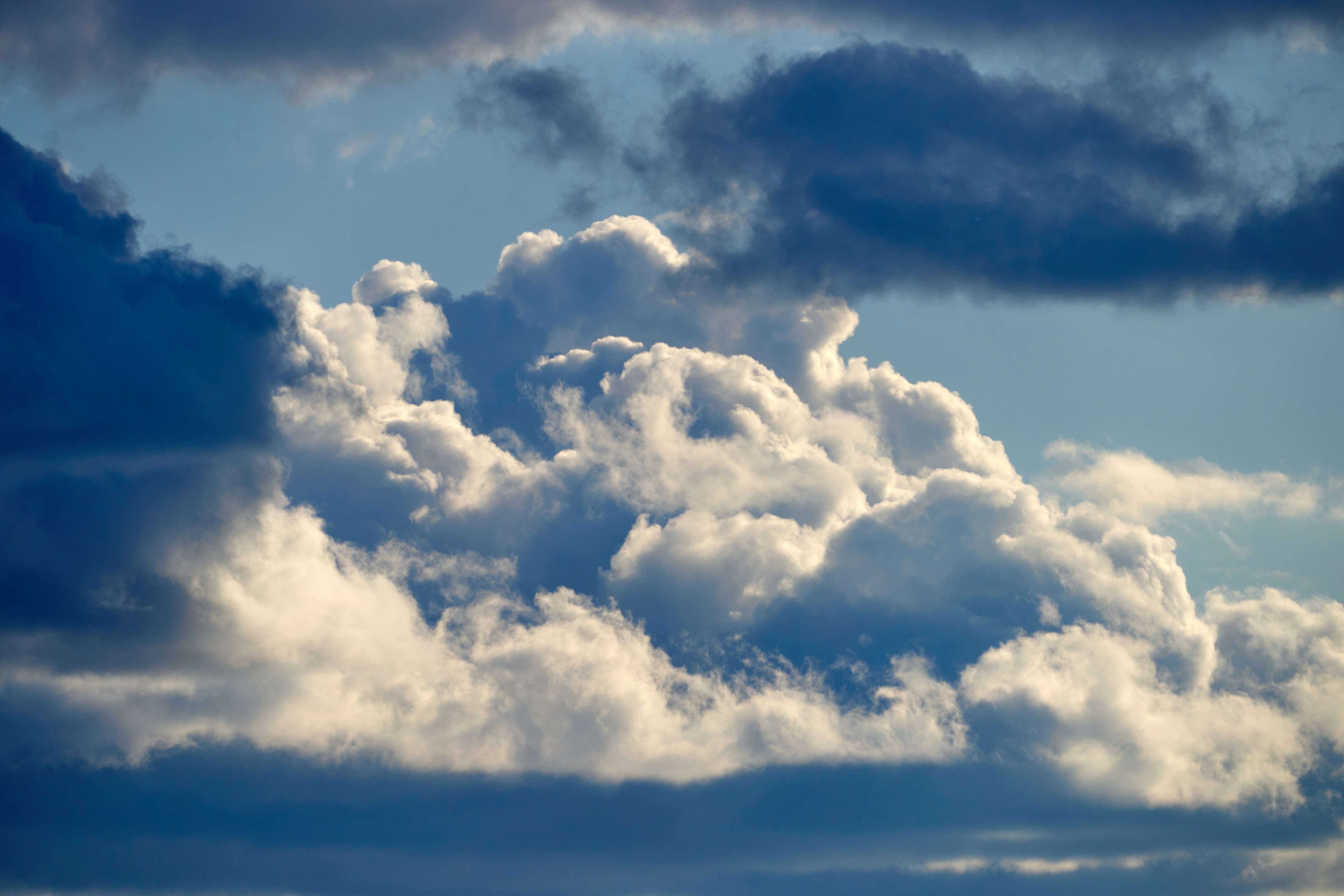 Photo by lostillusion