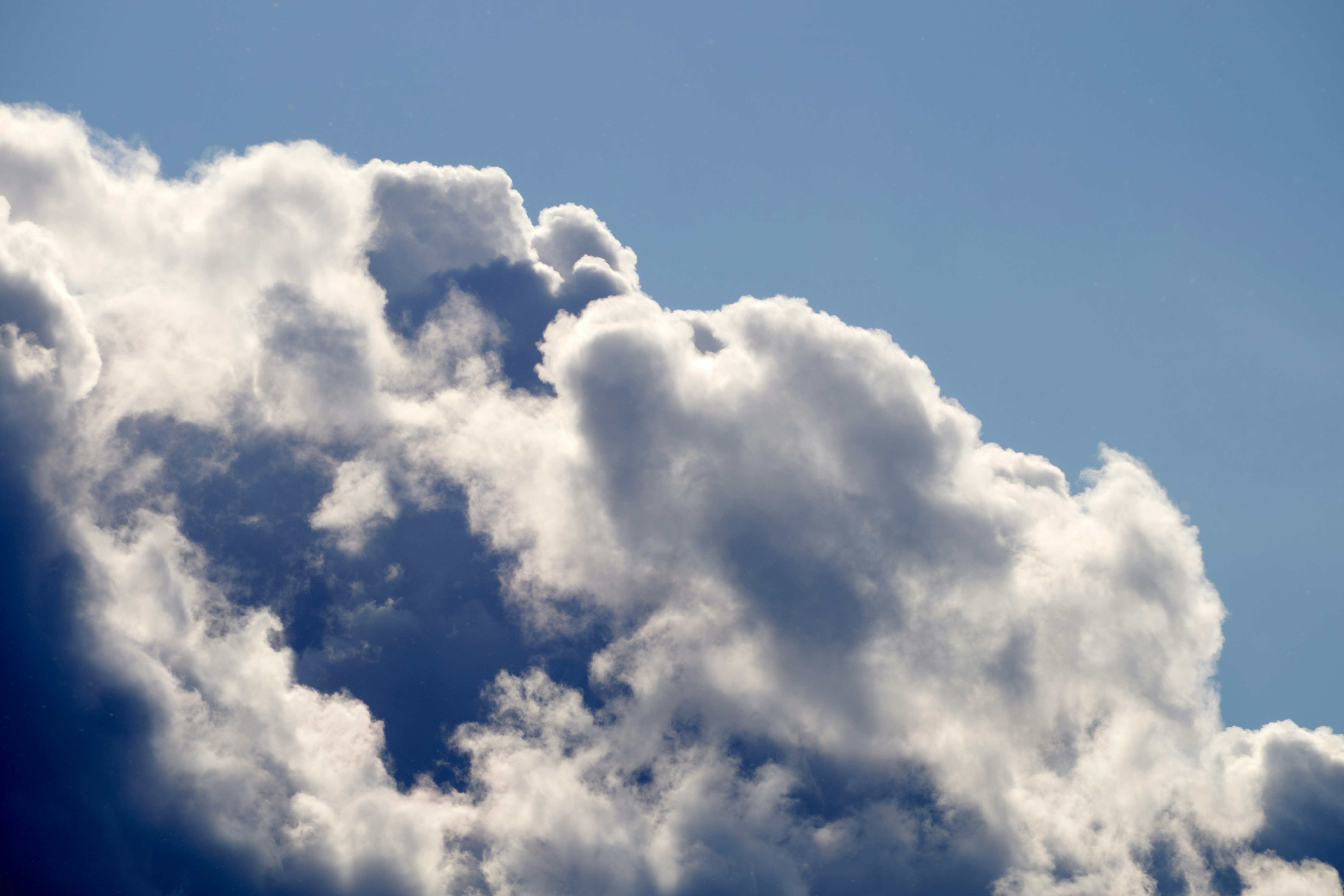 Photo by lostillusion