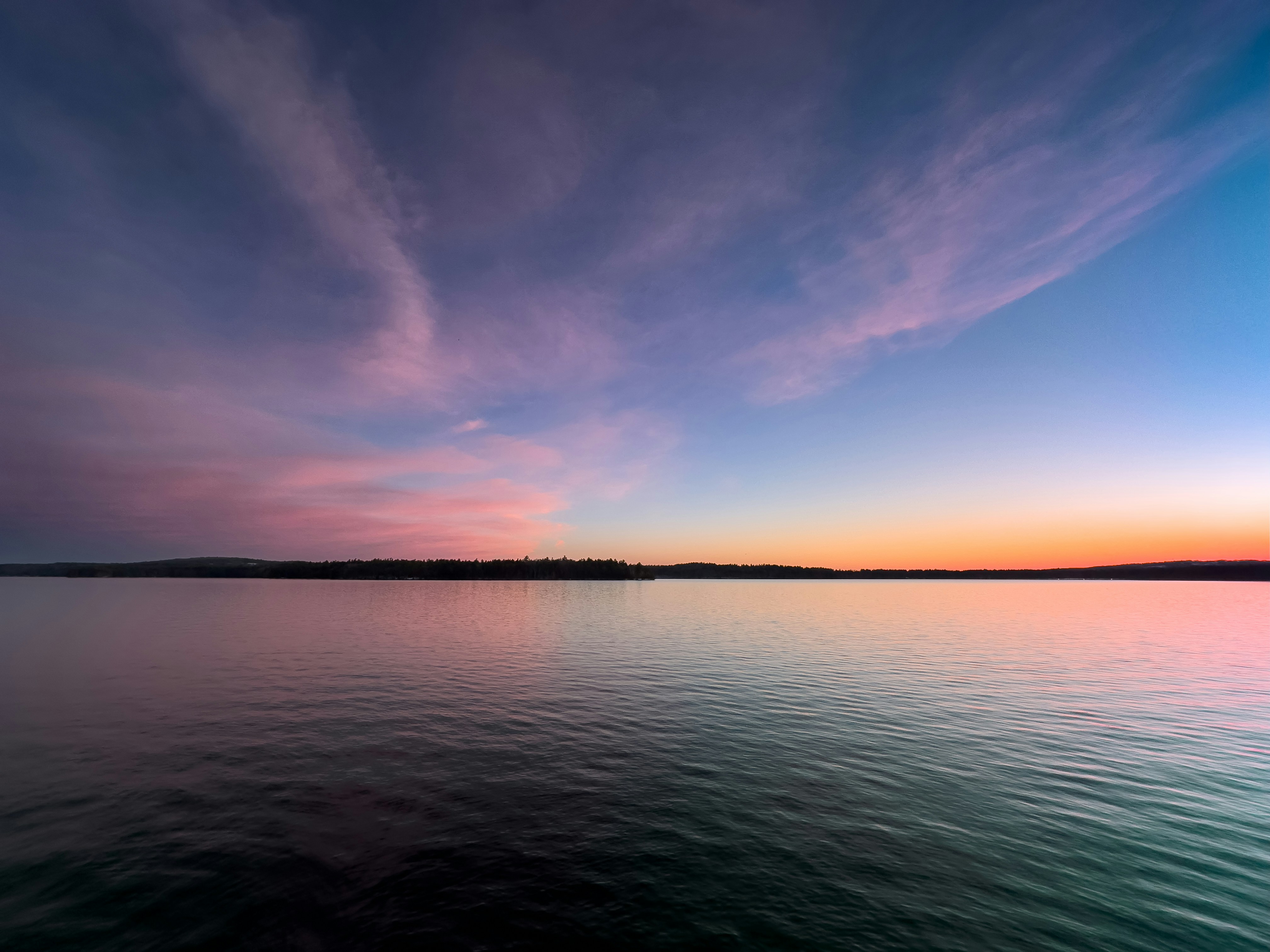 Photo by the_nemesis