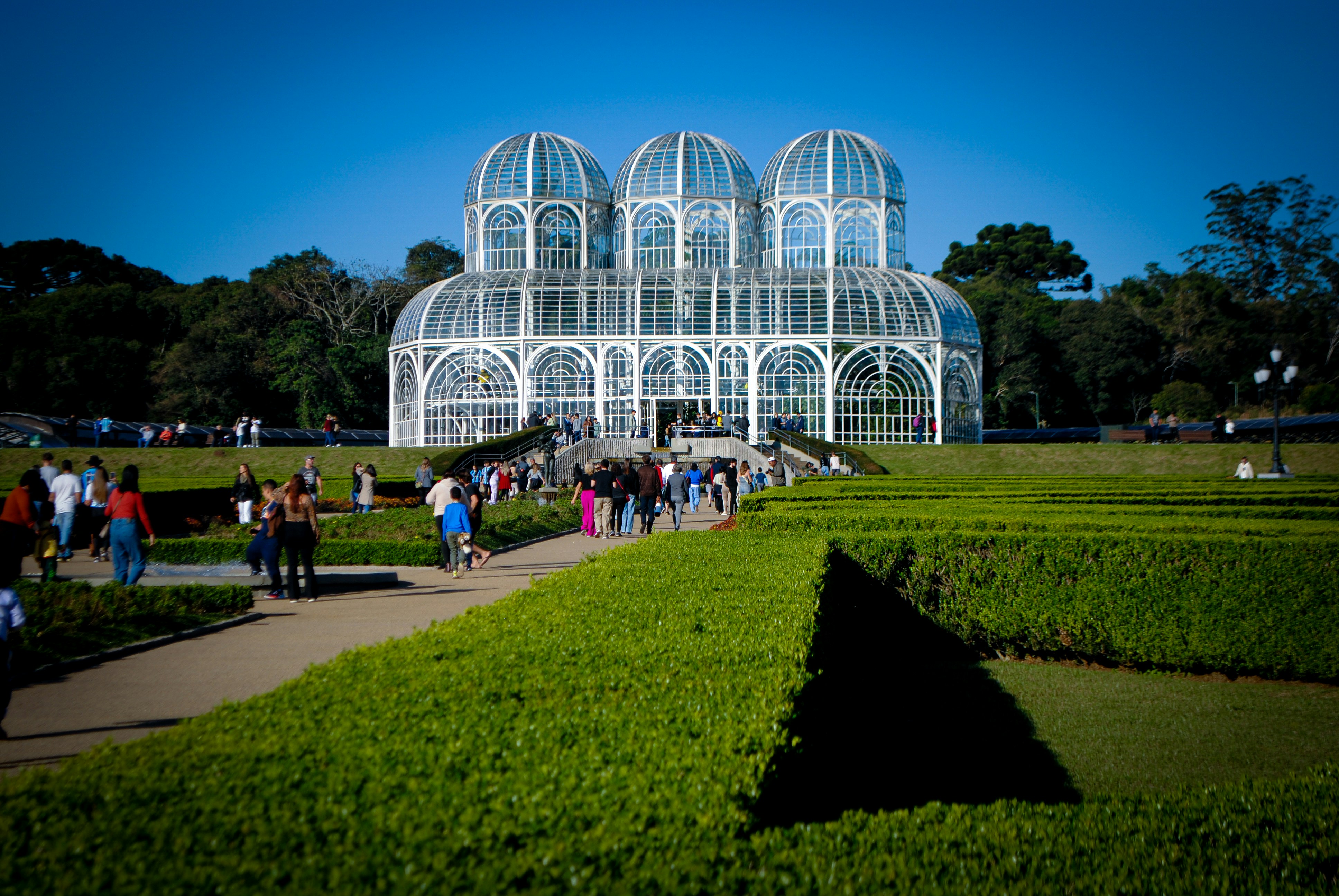 a group of people walking around a garden