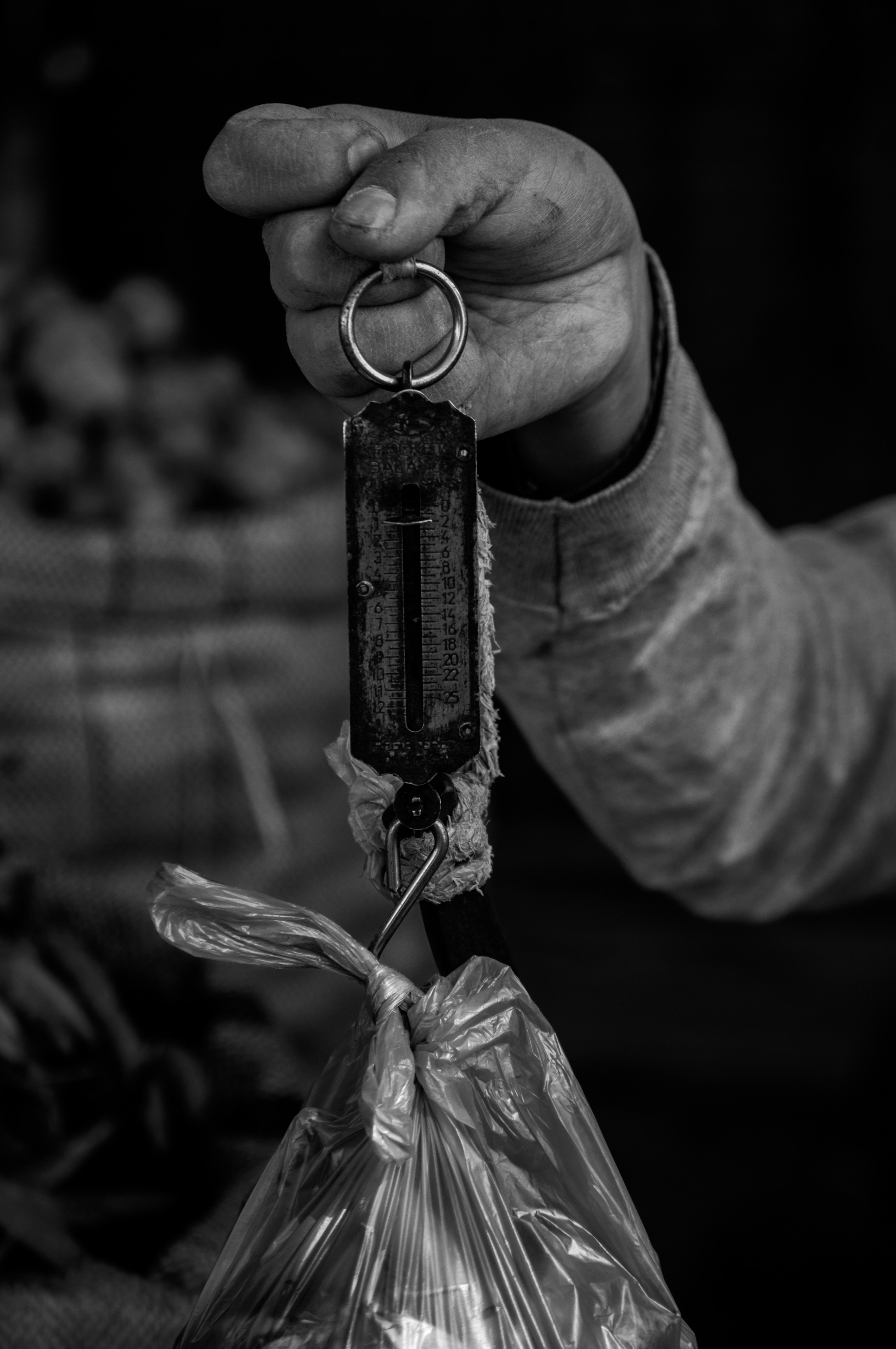 a person holding a bag of food in their hand
