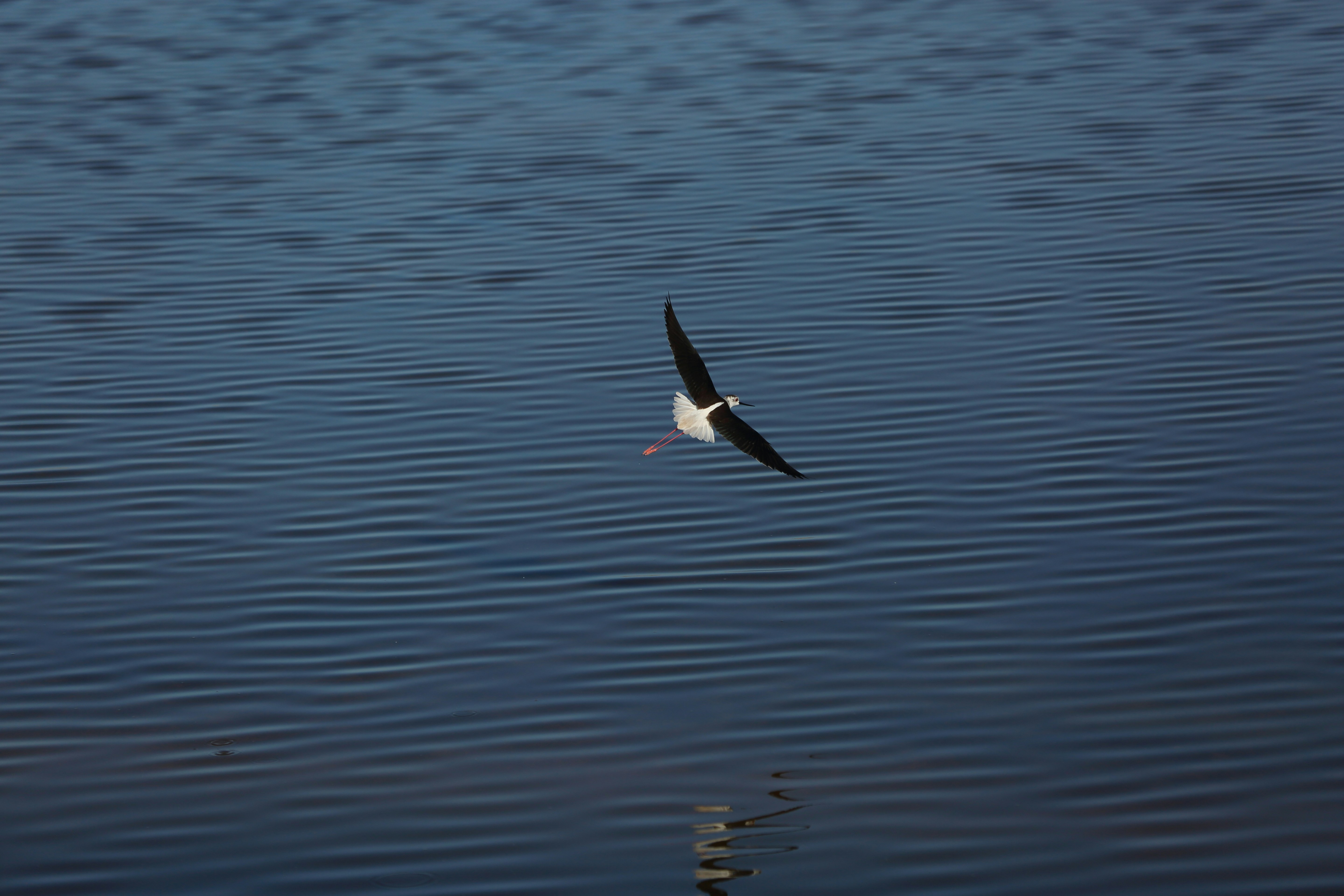 Photo by j4son_bourn3