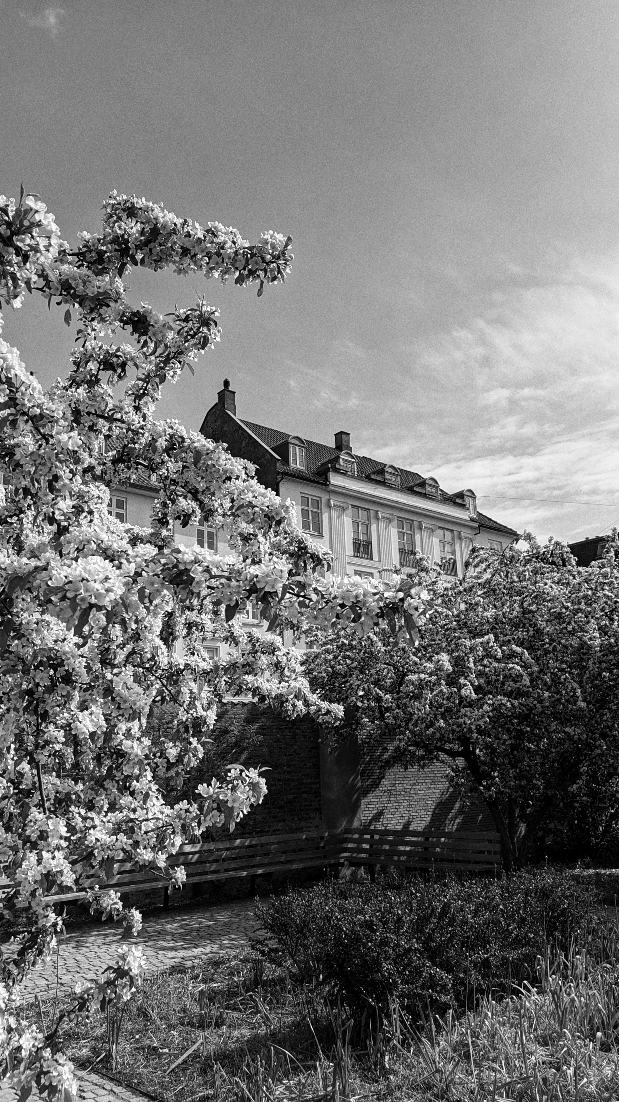 Photo by tiagopereira006