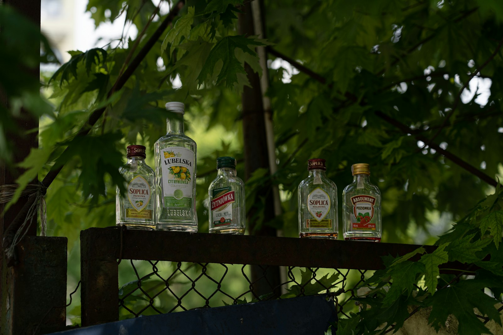 What to Expect at the Aloha Tequila & Arts Festival 2026