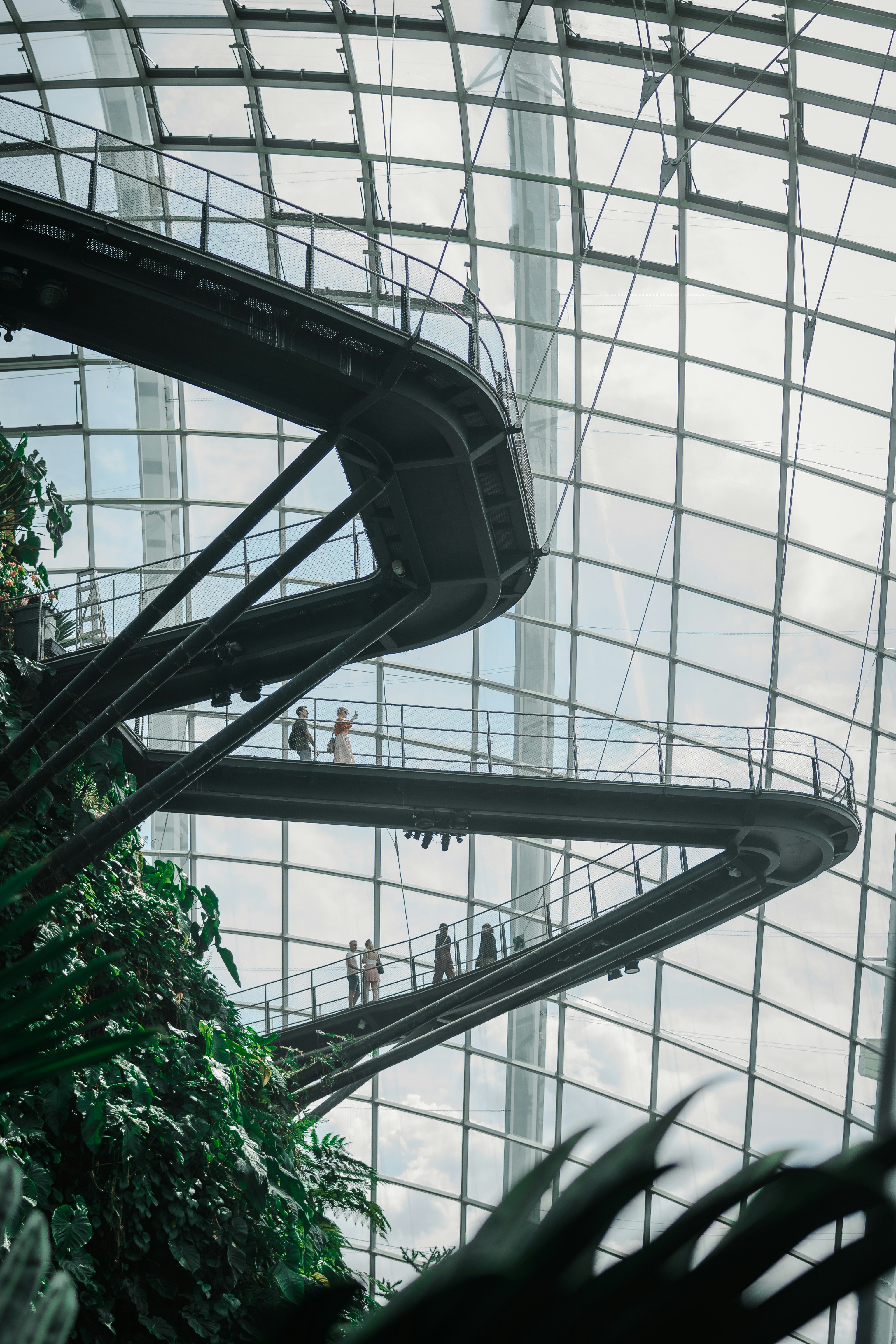 Photo by cameronsteele