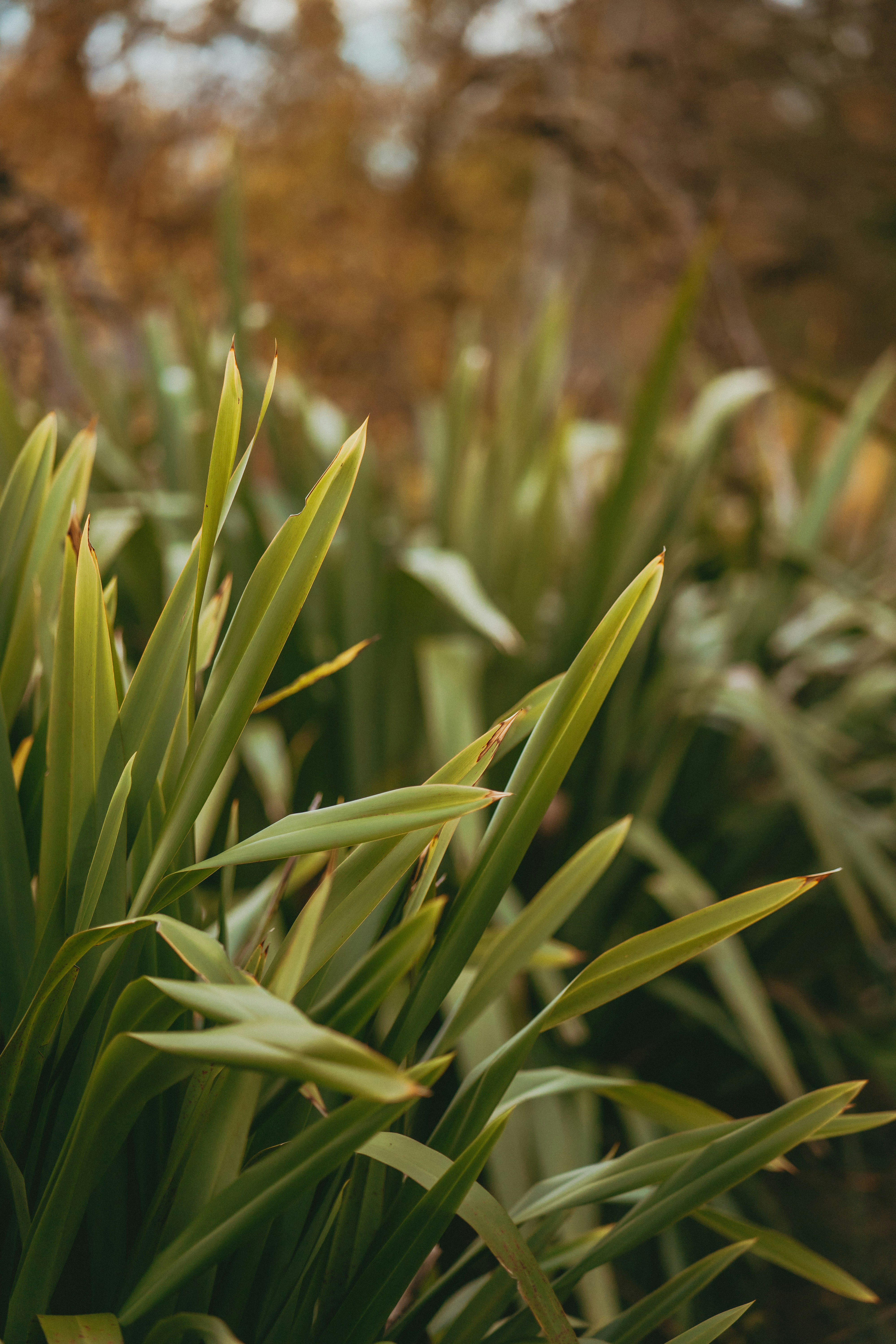 Photo by createinme_nz