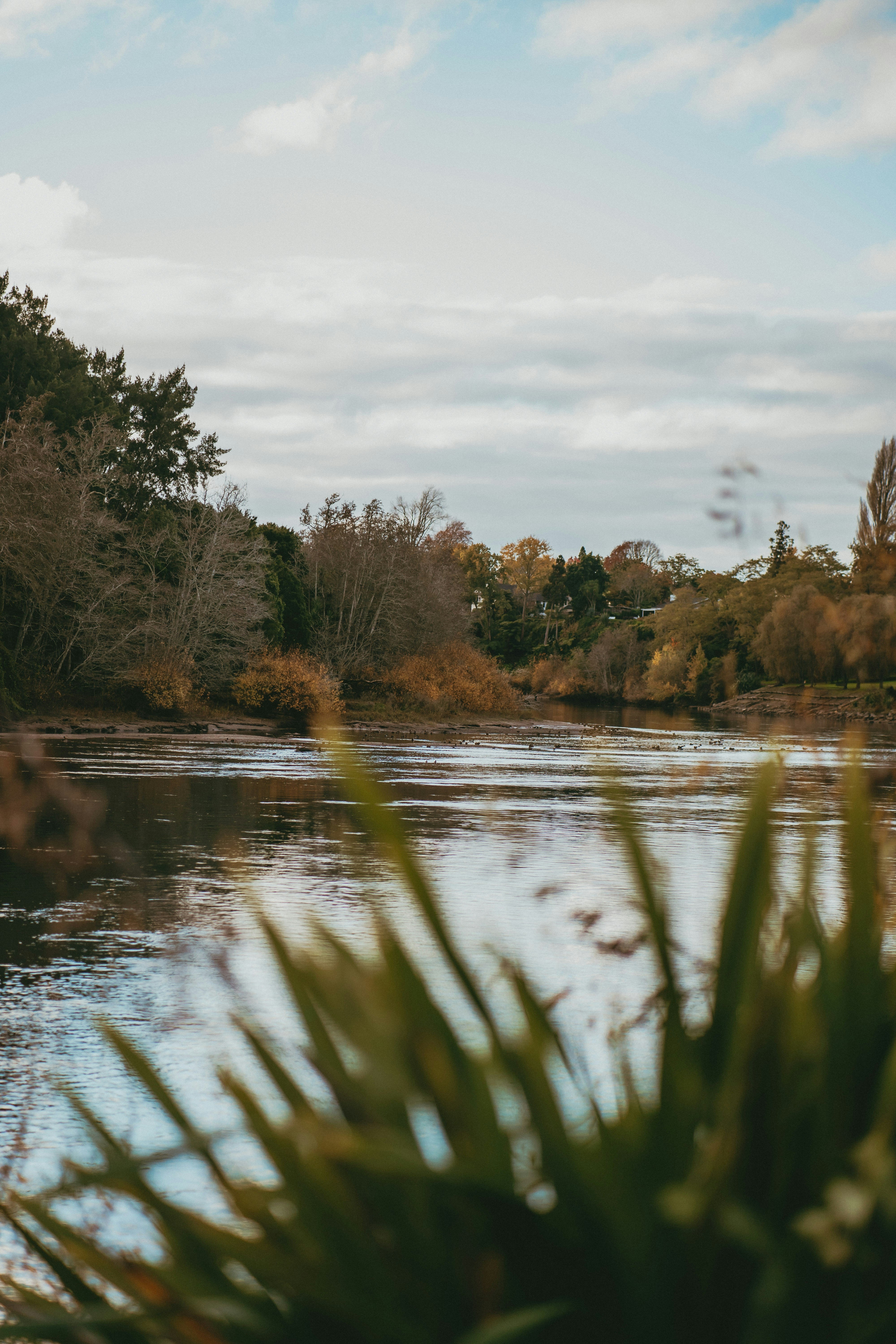 Photo by createinme_nz