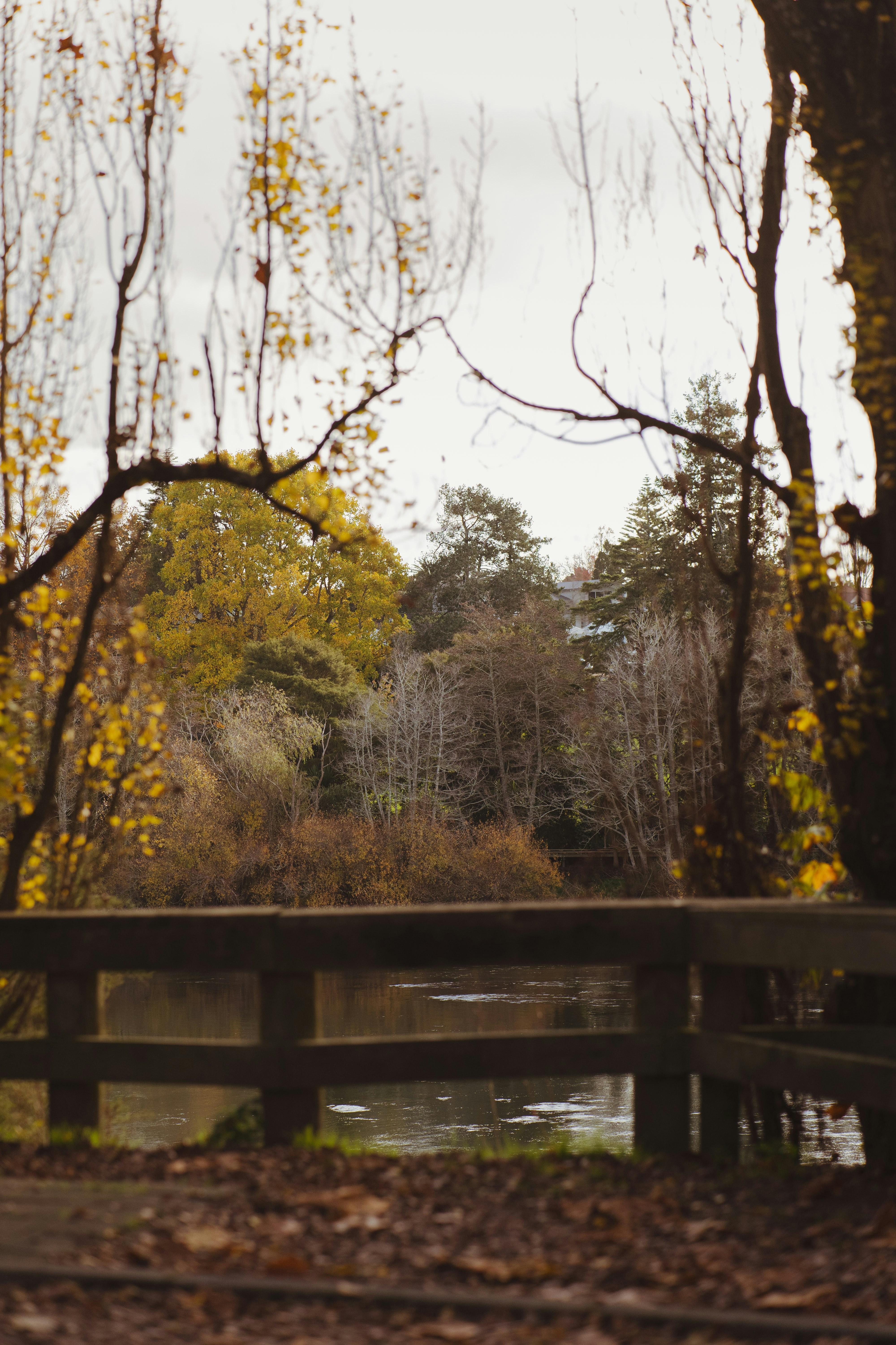 Photo by createinme_nz