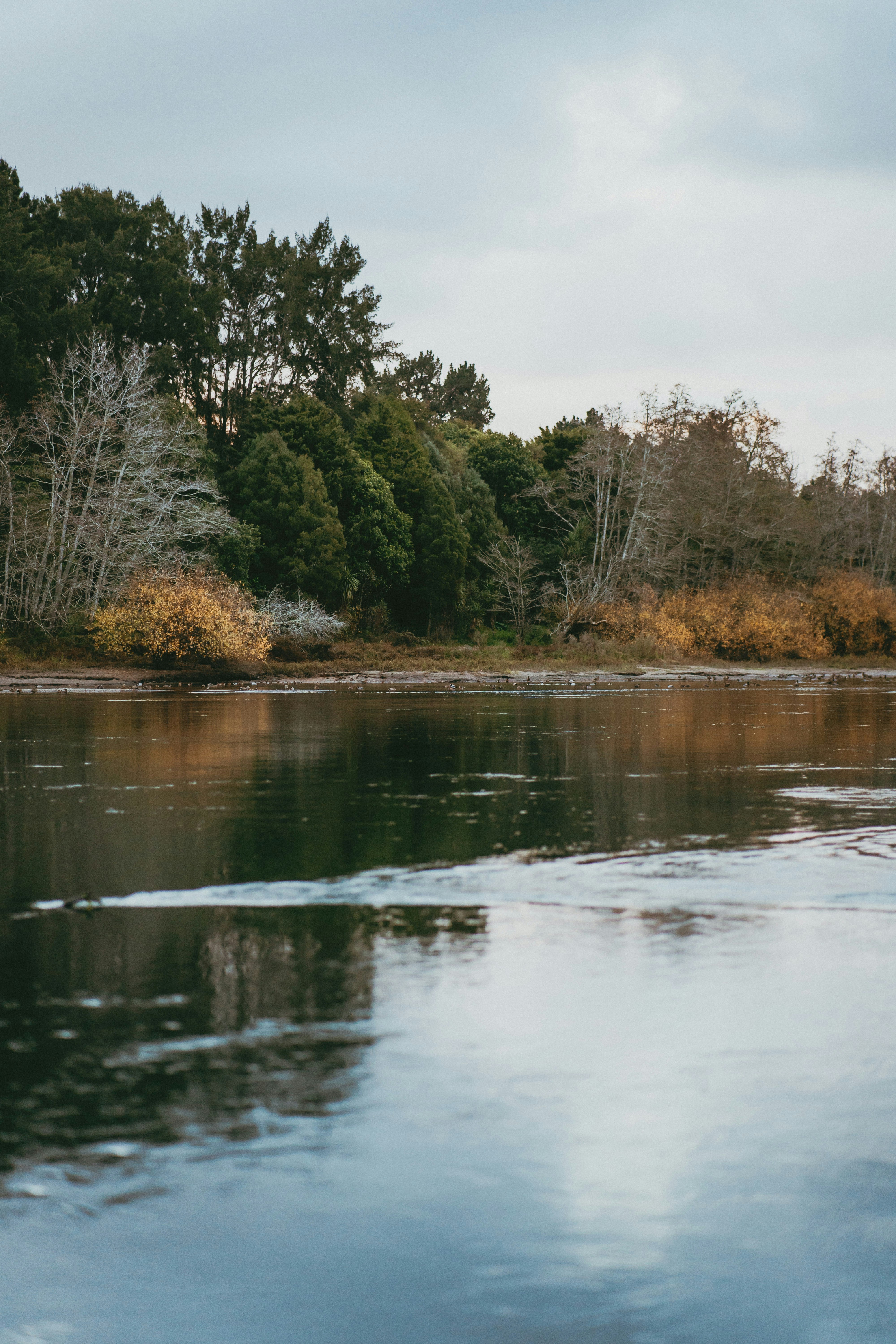 Photo by createinme_nz