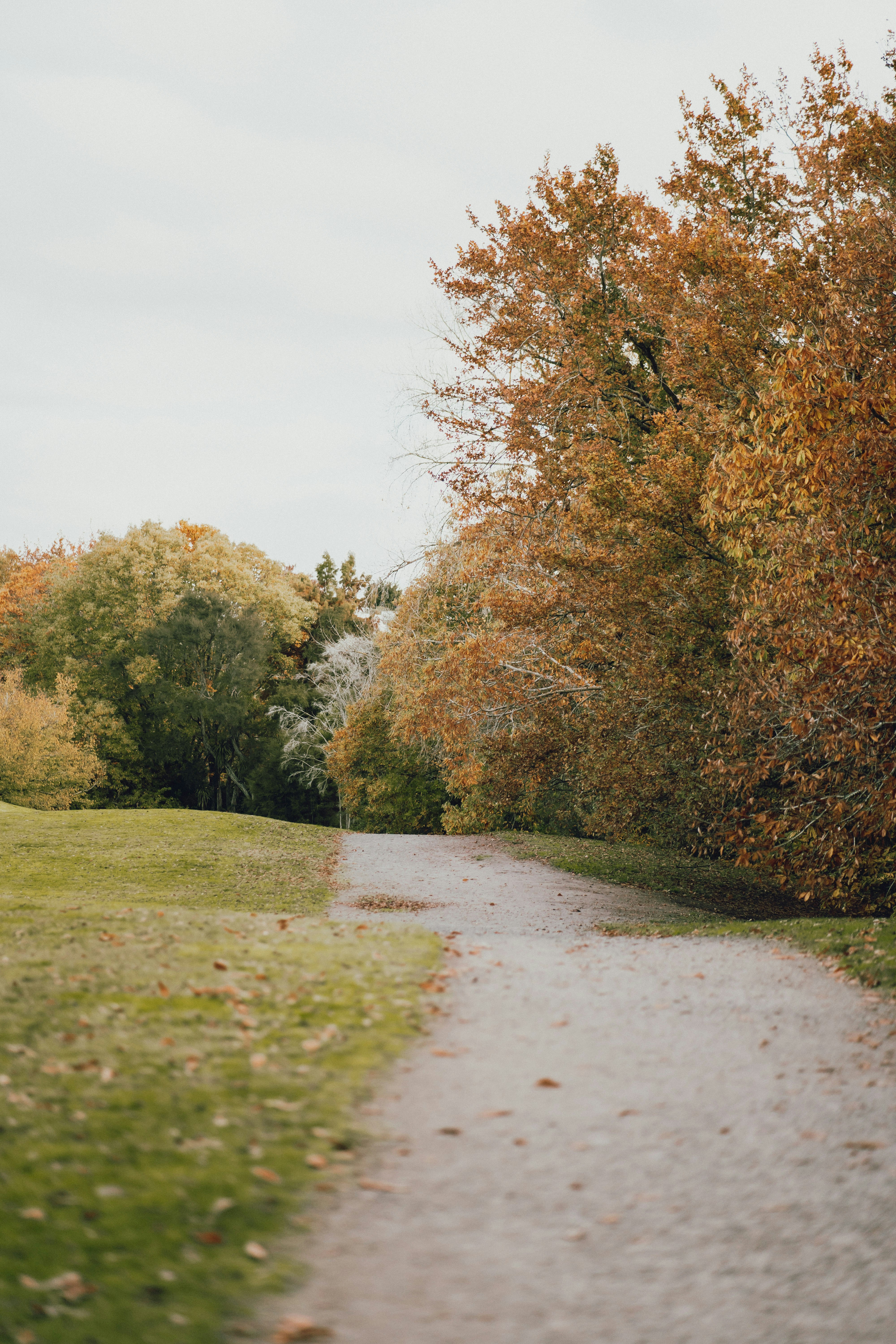 Photo by createinme_nz