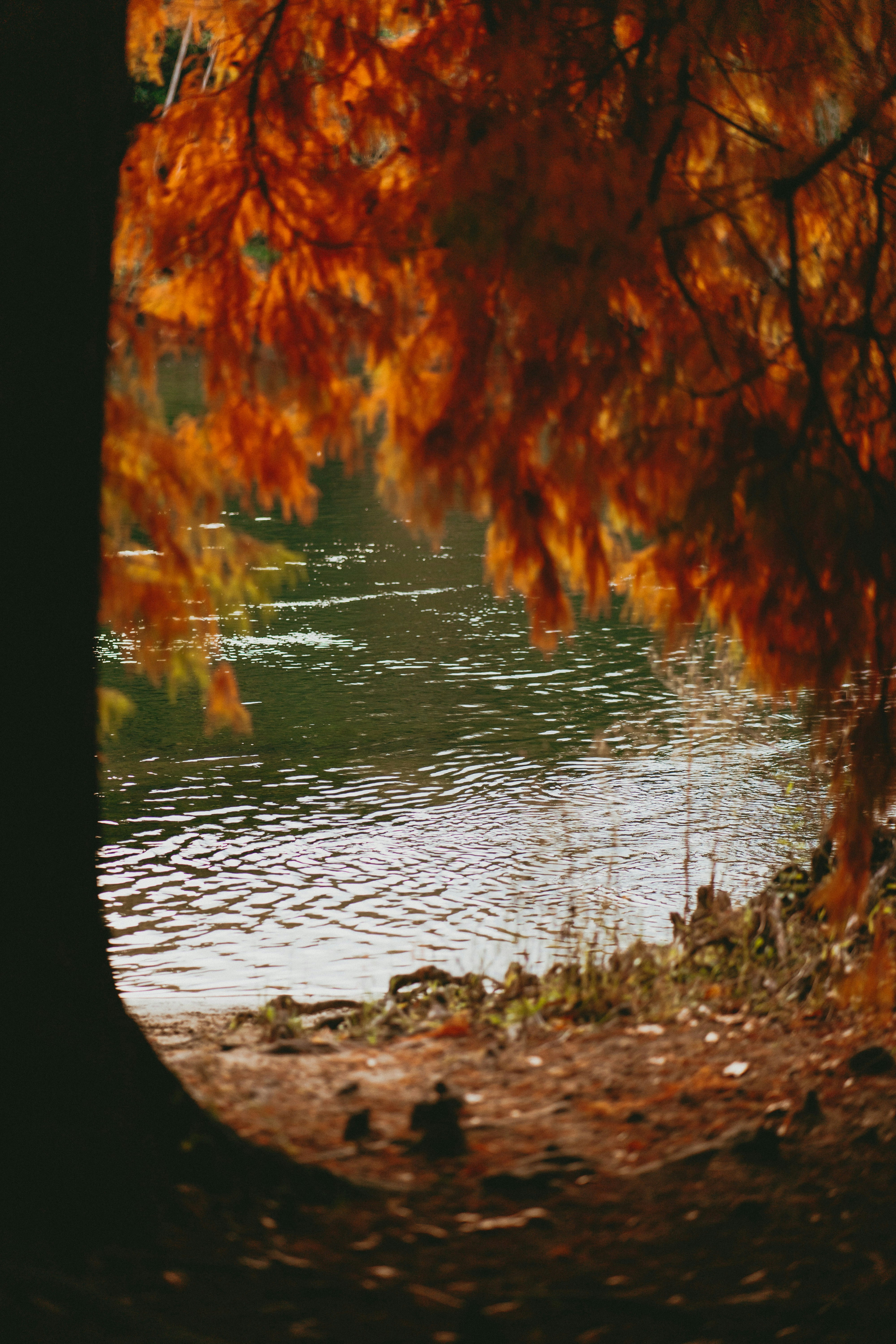 Photo by createinme_nz