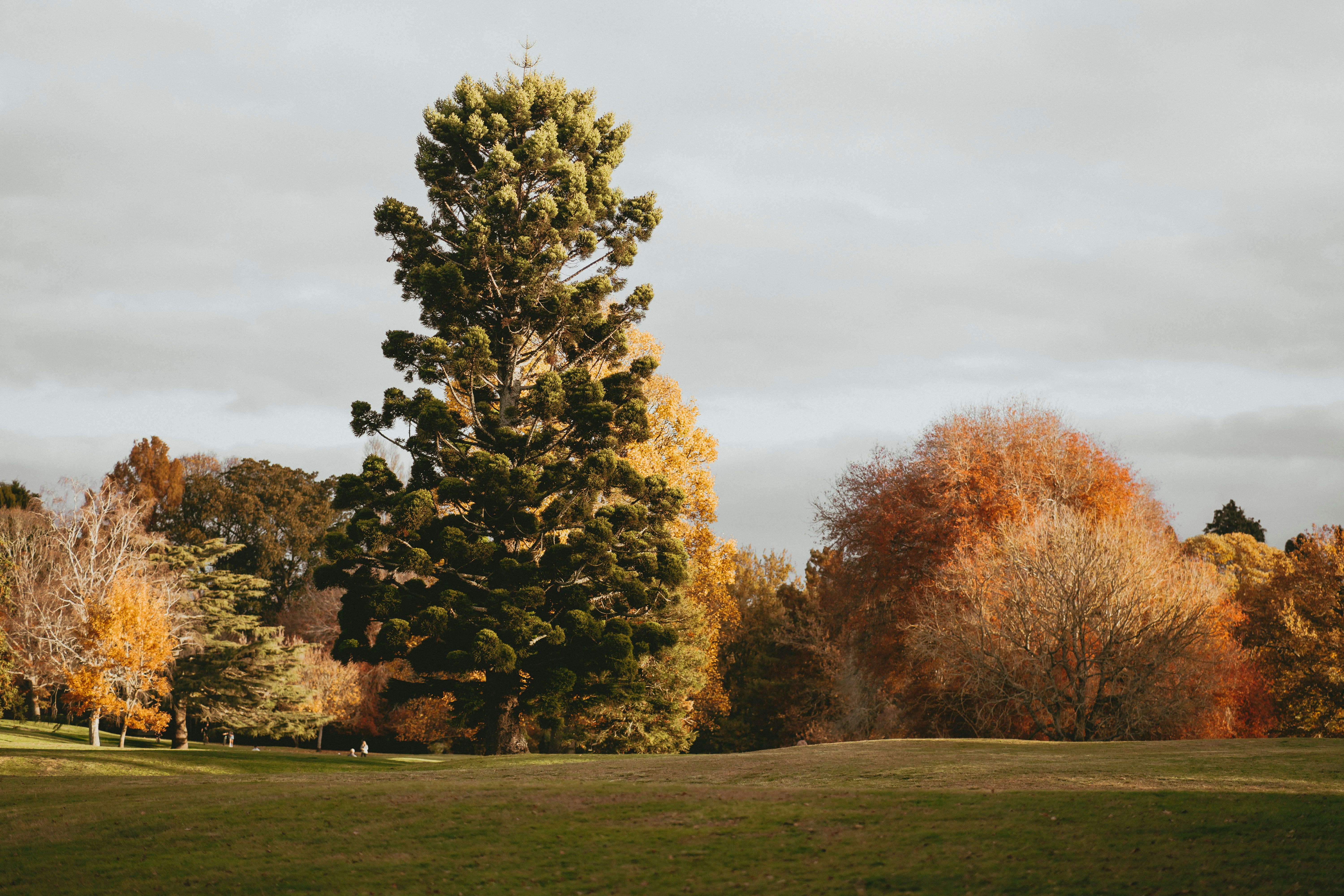 Photo by createinme_nz