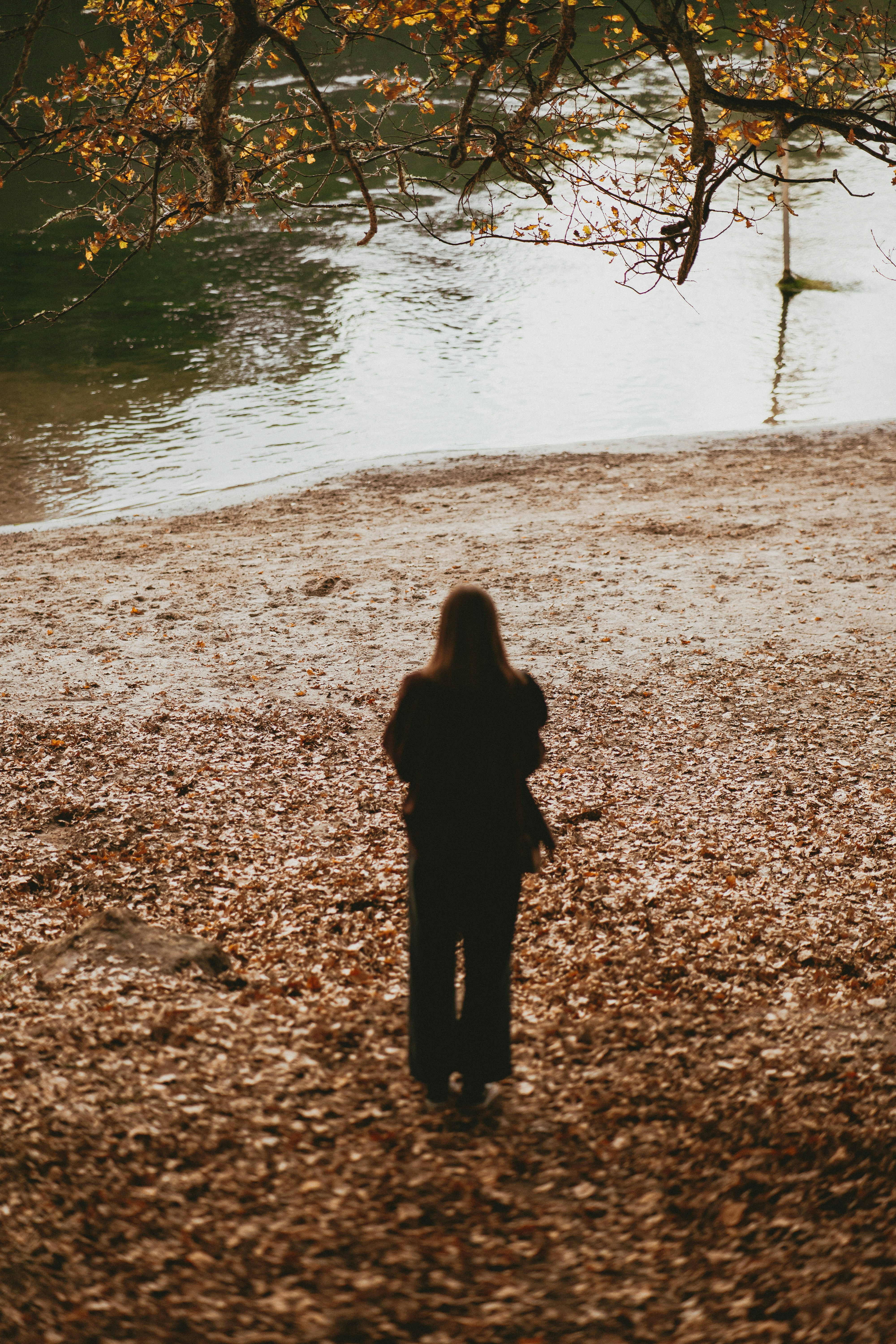 Photo by createinme_nz