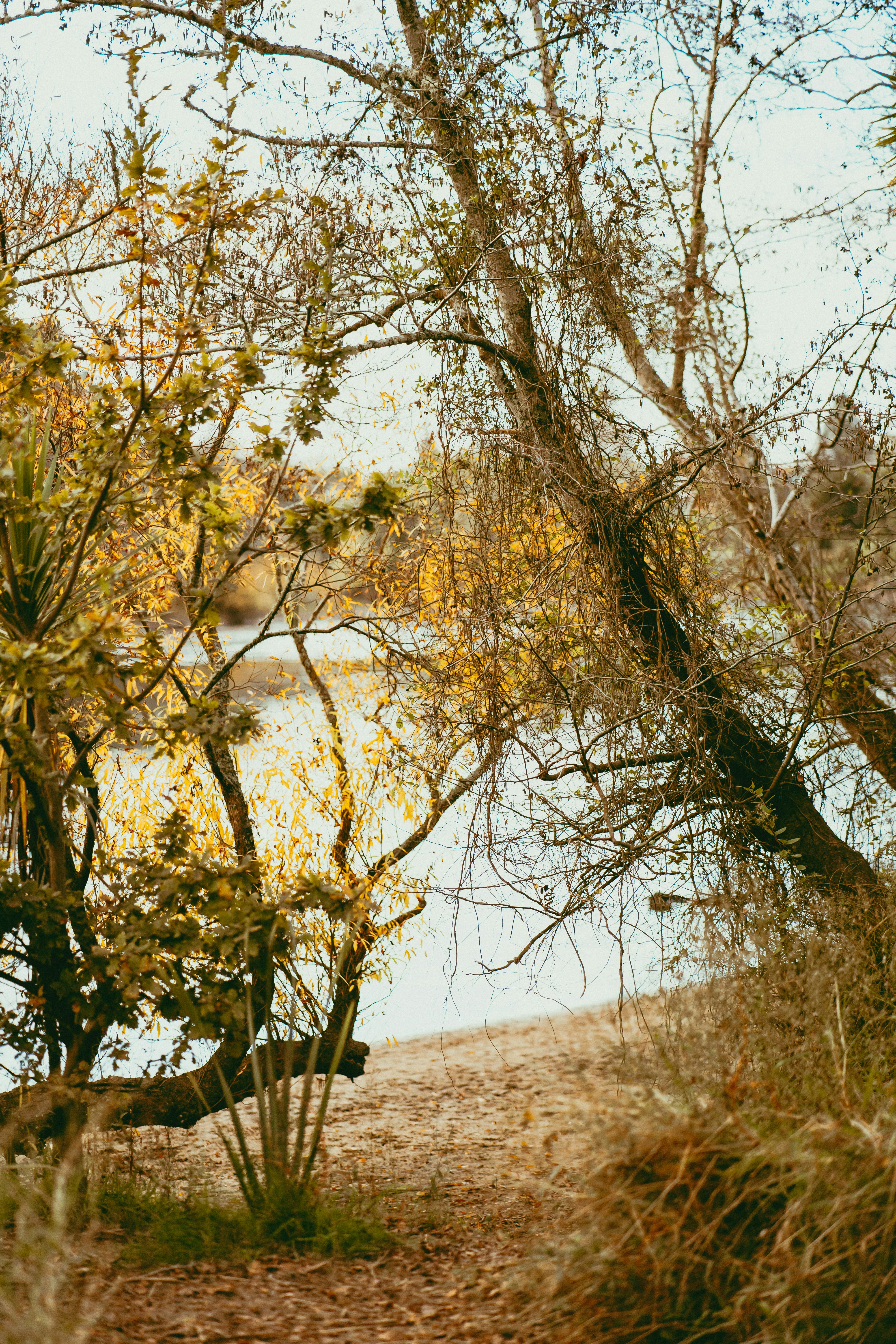 Photo by createinme_nz