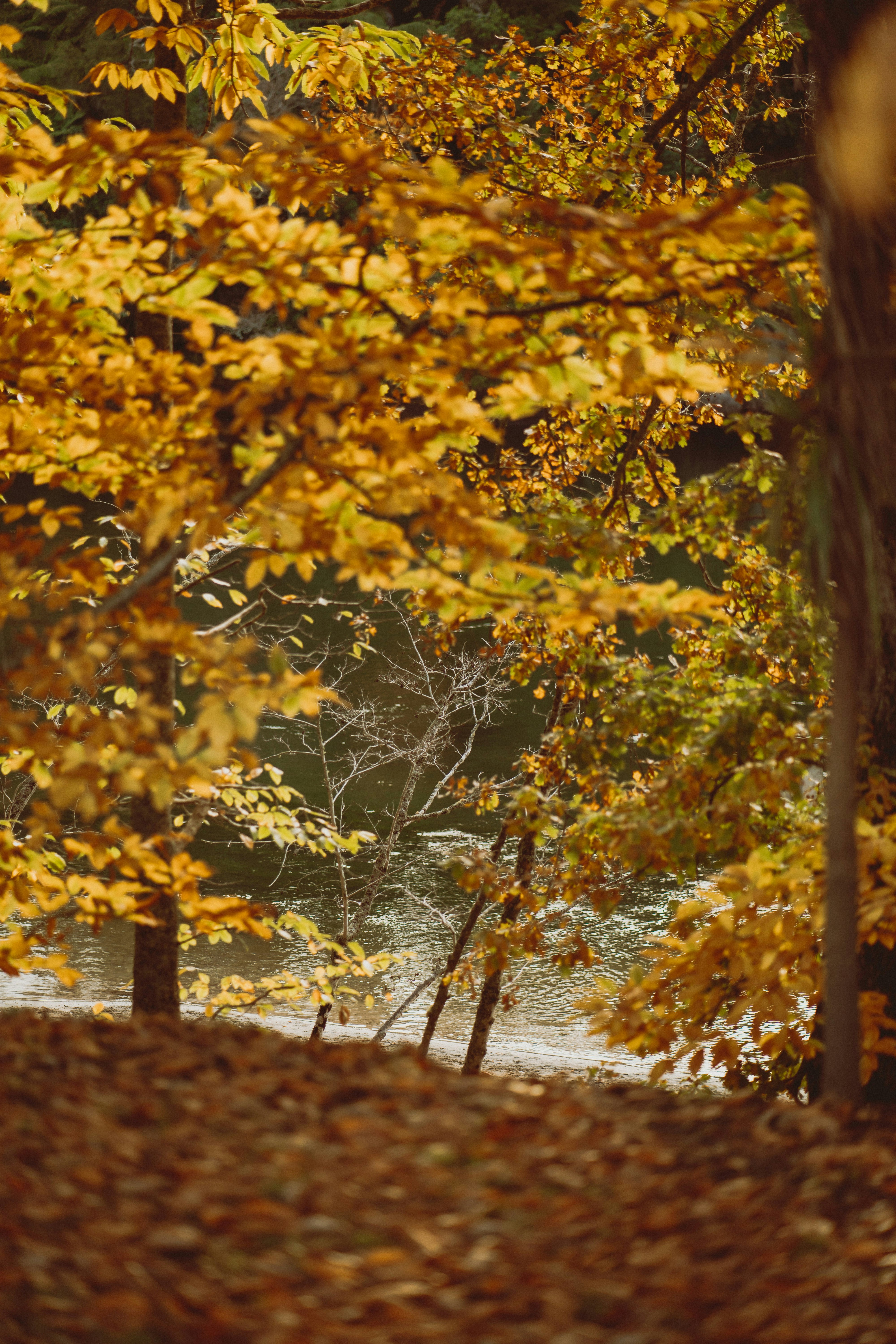 Photo by createinme_nz