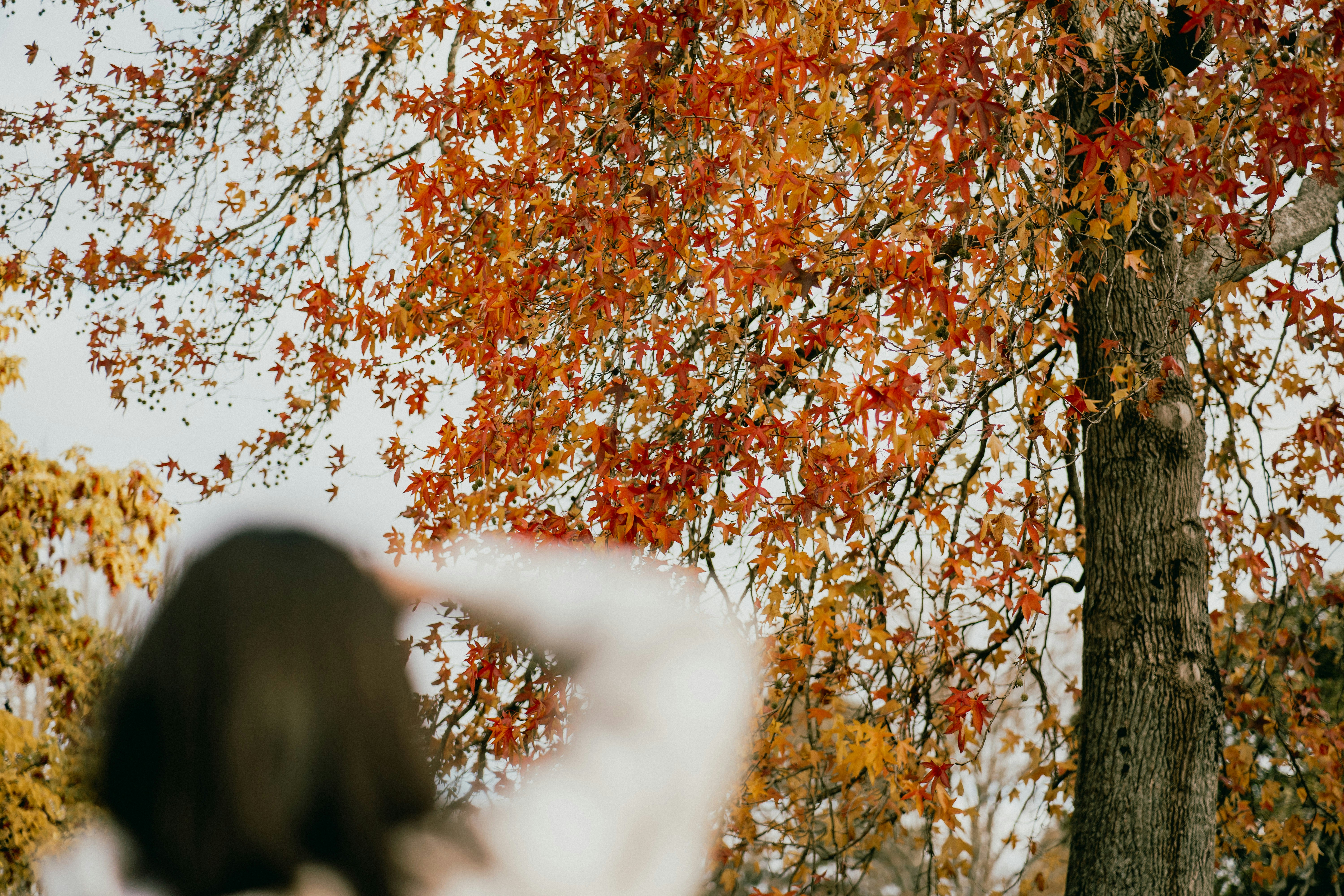 Photo by createinme_nz