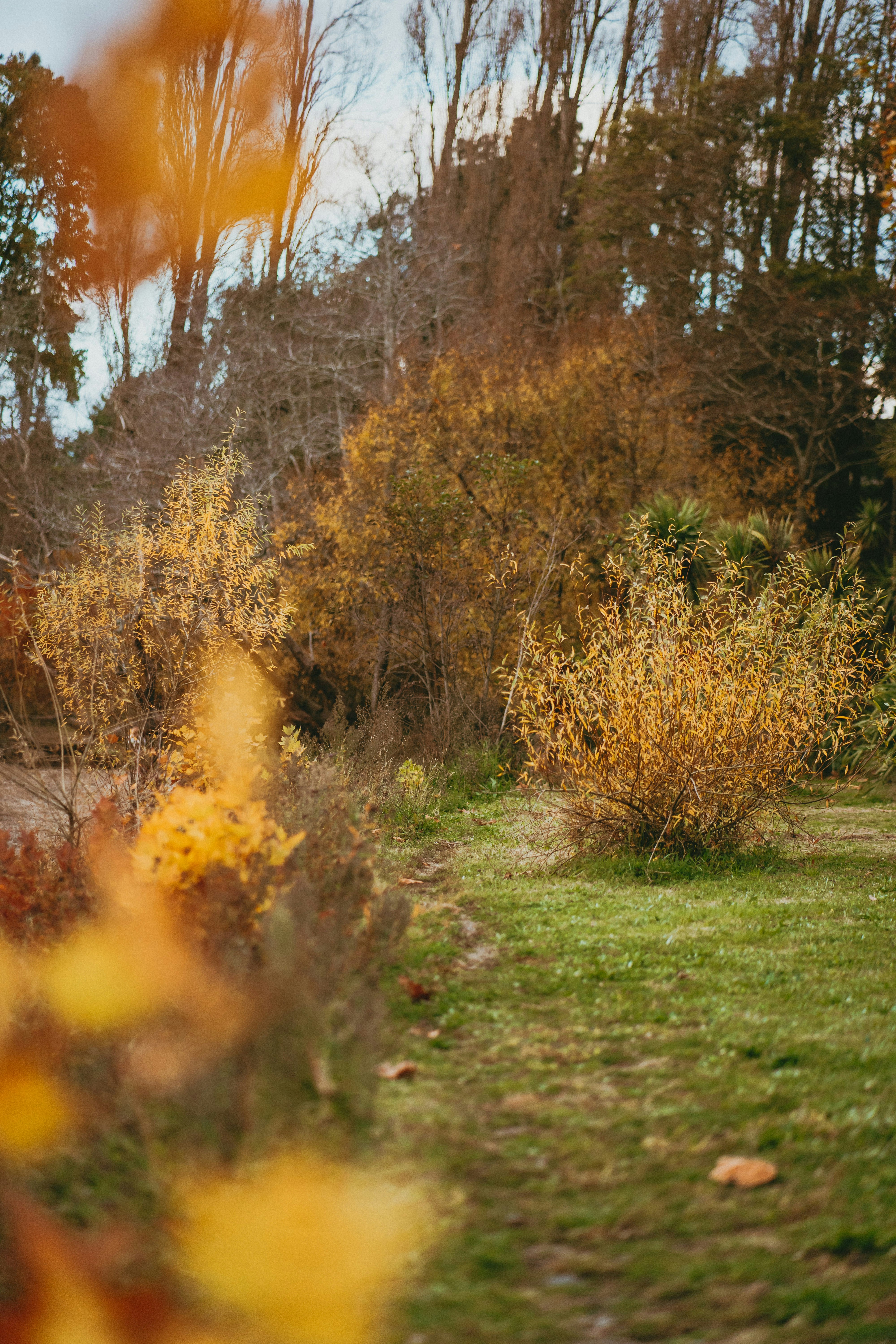 Photo by createinme_nz