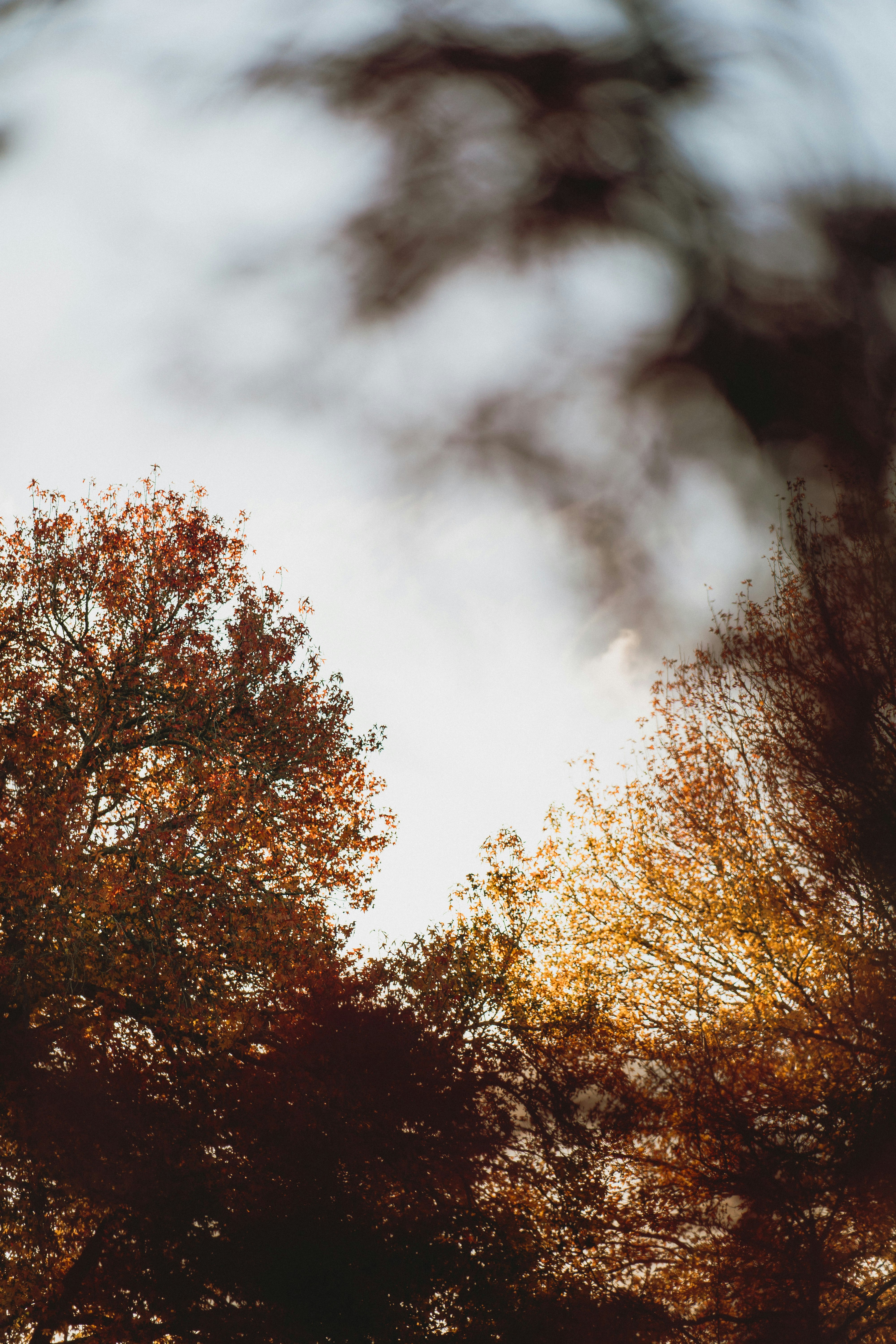 Photo by createinme_nz