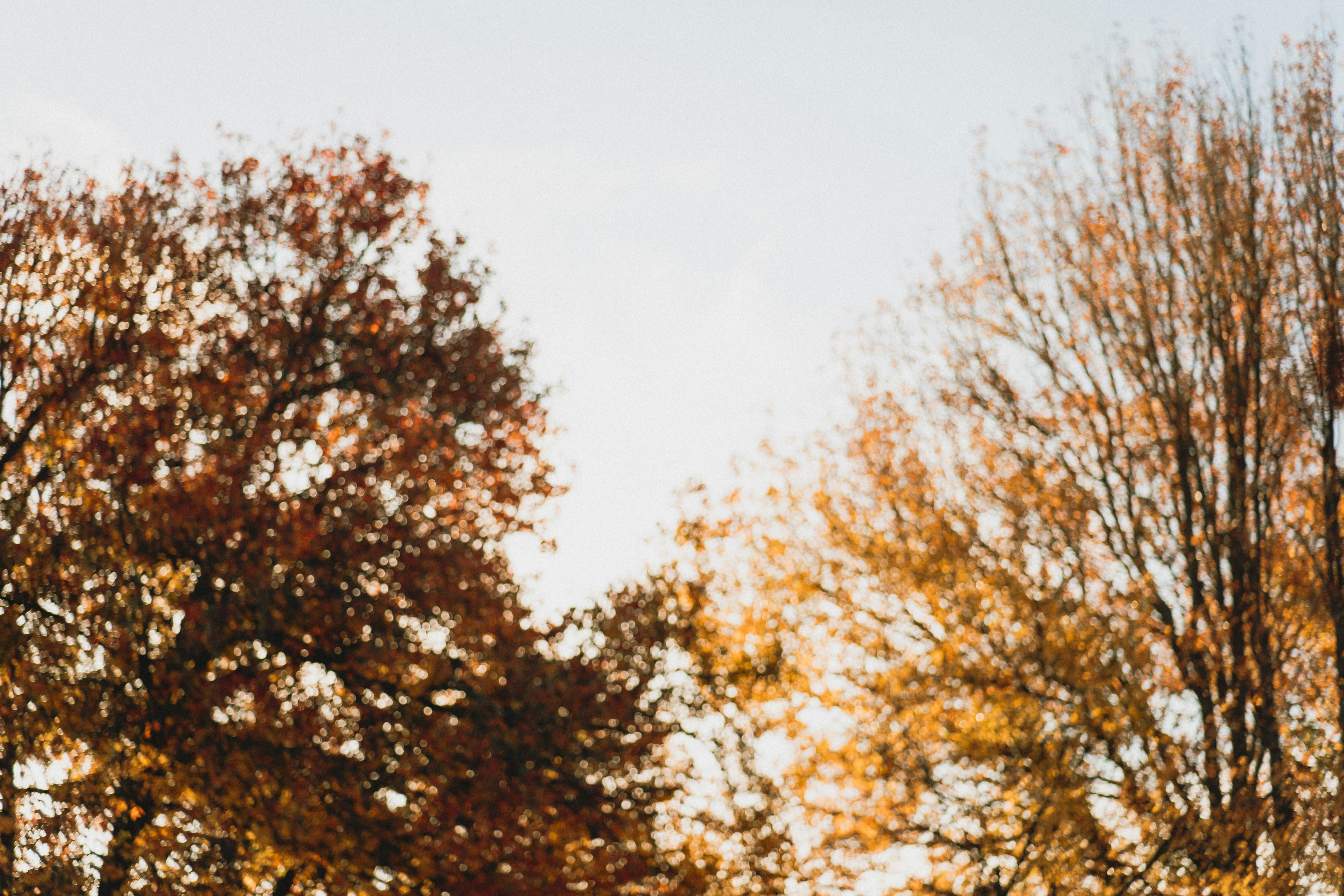 Photo by createinme_nz