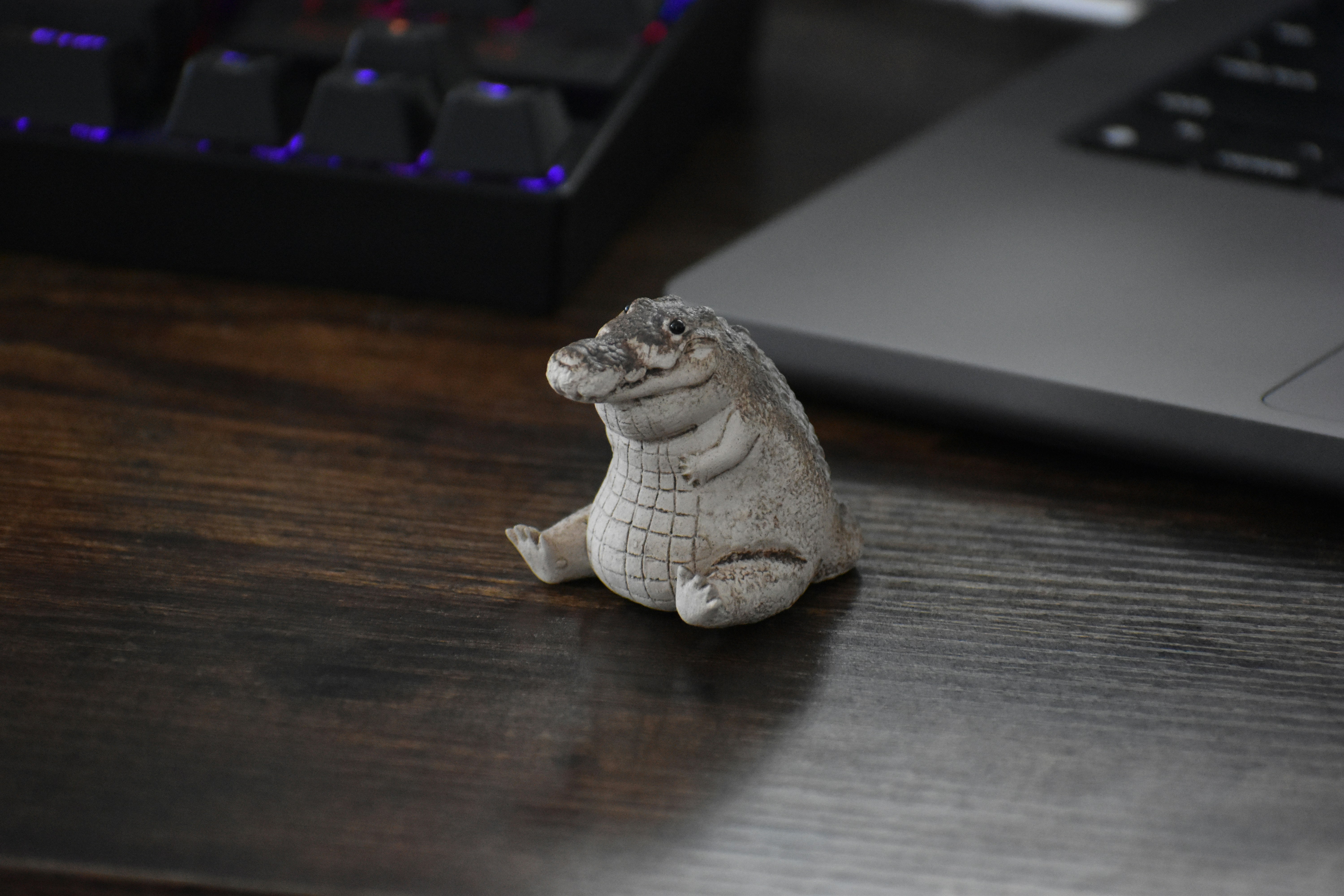 photo-1717125136377-6ac50582f013?ixid=M3wxMjA3fDB8MXxzZWFyY2h8NDh8fHJlZGRpdHxlbnwwfHx8fDE3NTM2NjE5MjJ8MA%5Cu0026ixlib=rb-4.1.0