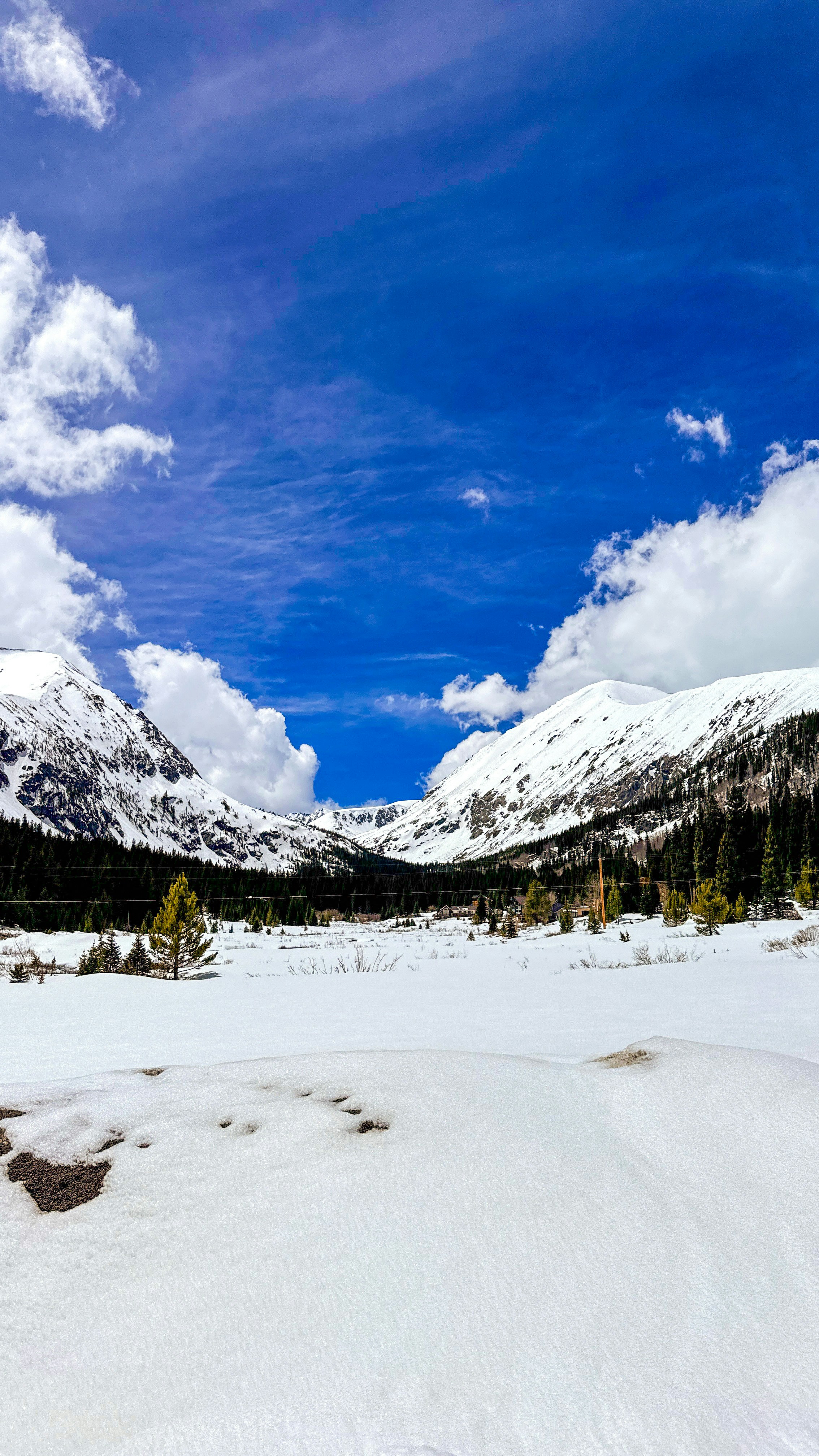 Photo by andrewsimon