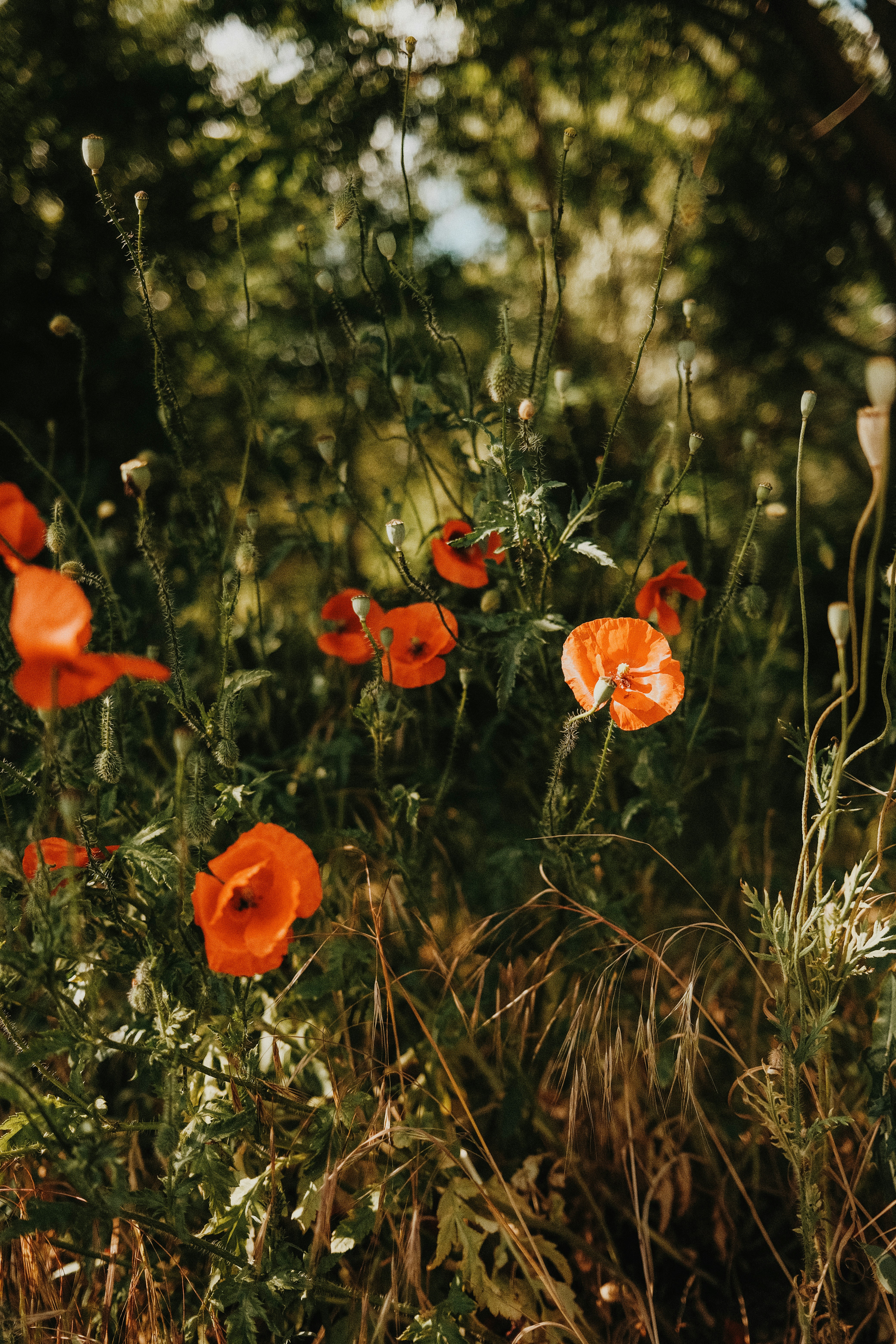 Photo by marinareich