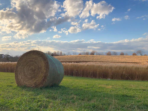 Large round hay bale in an open field near Iowa City