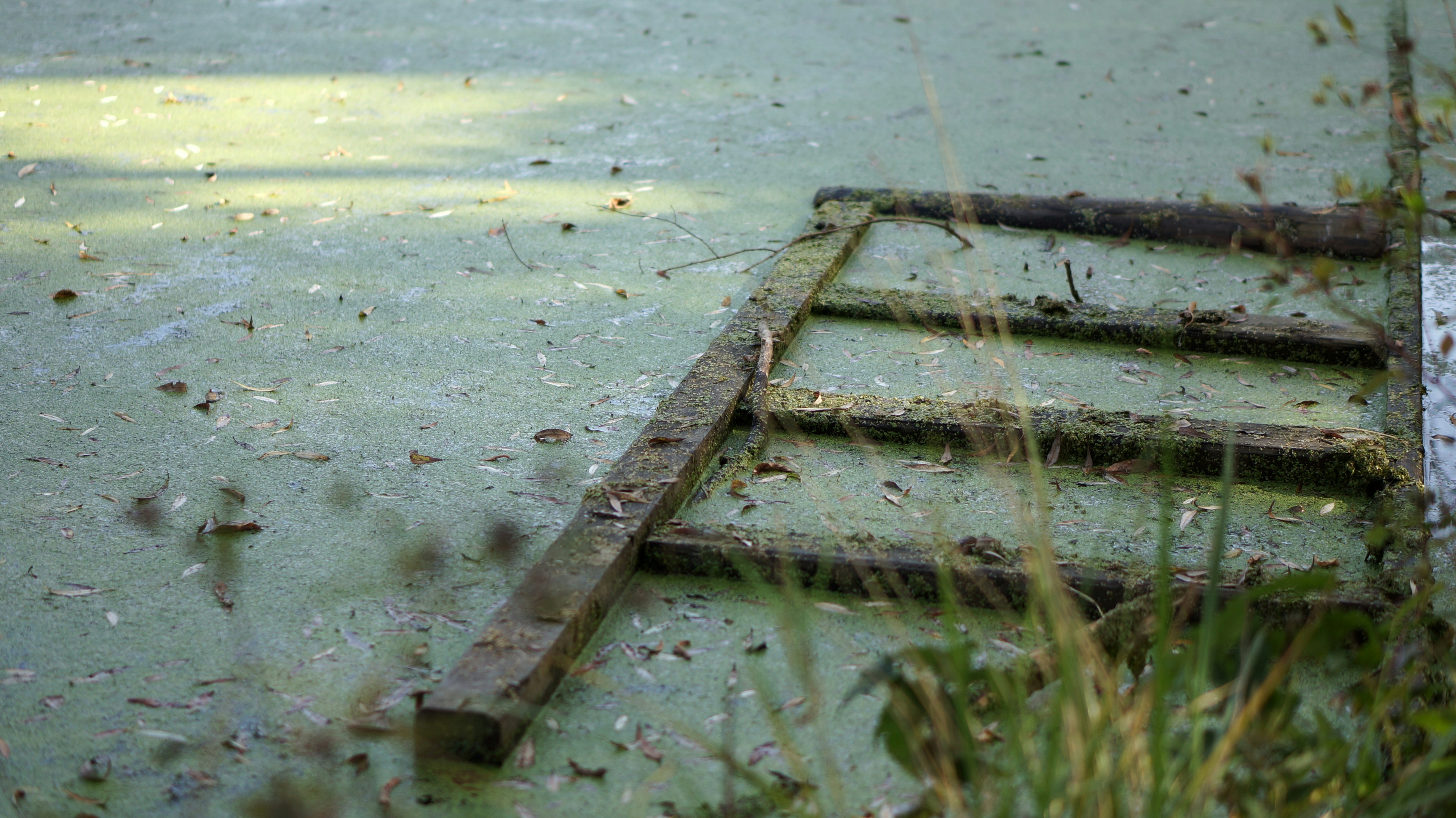 Subí, subí… ¿y ahora qué hago aquí arriba? (El día que entendí el Principio de Peter en tech)