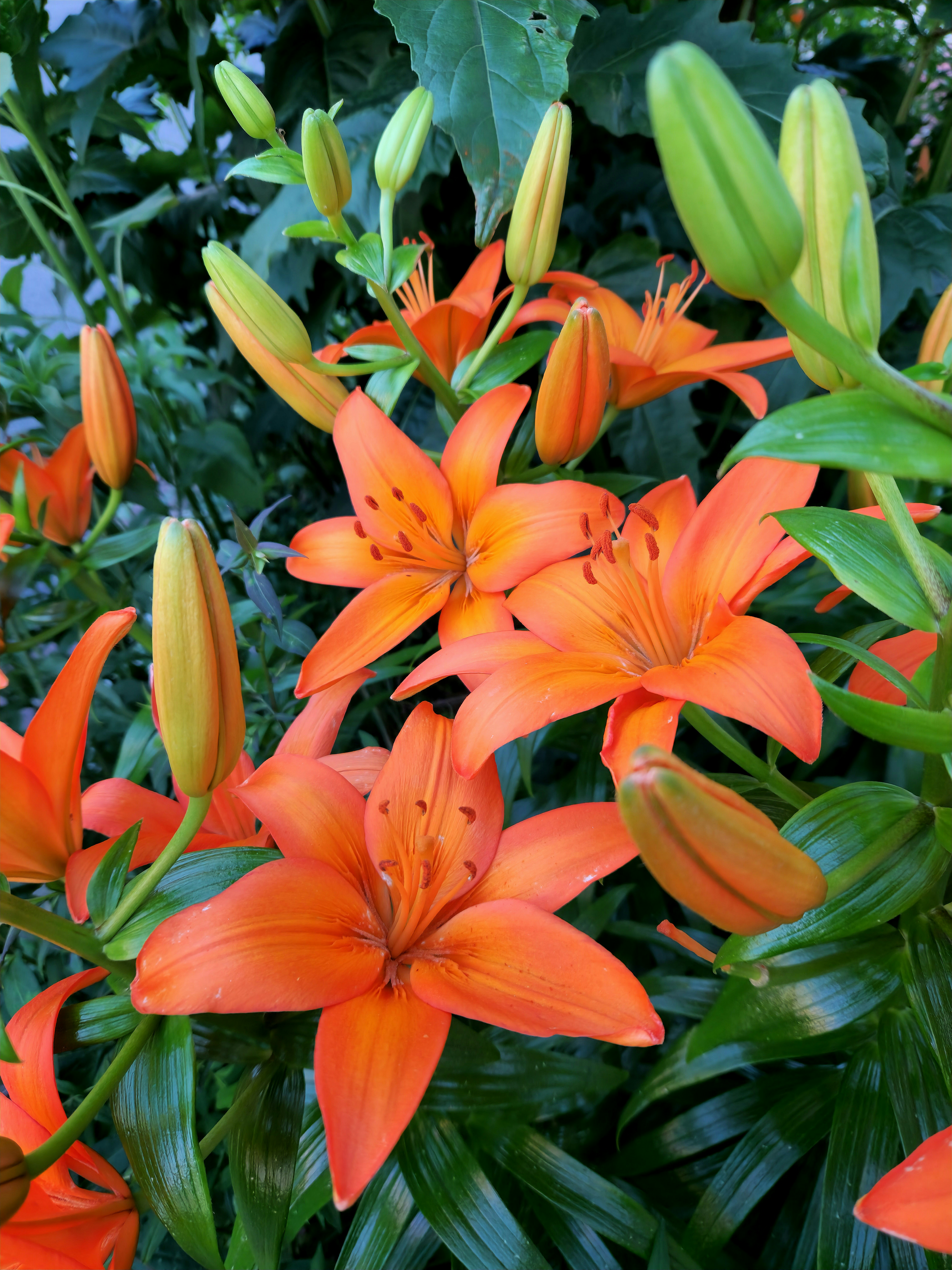 Photo by zoshuacolah