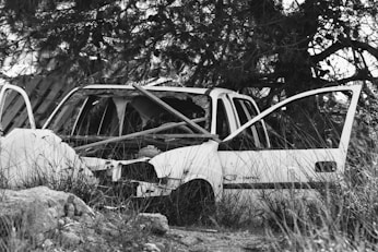 a couple of cars that are sitting in the grass
