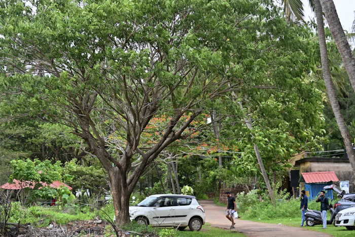 Local Markets
