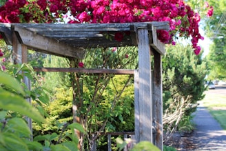 a wooden arbor with pink flowers hanging over it