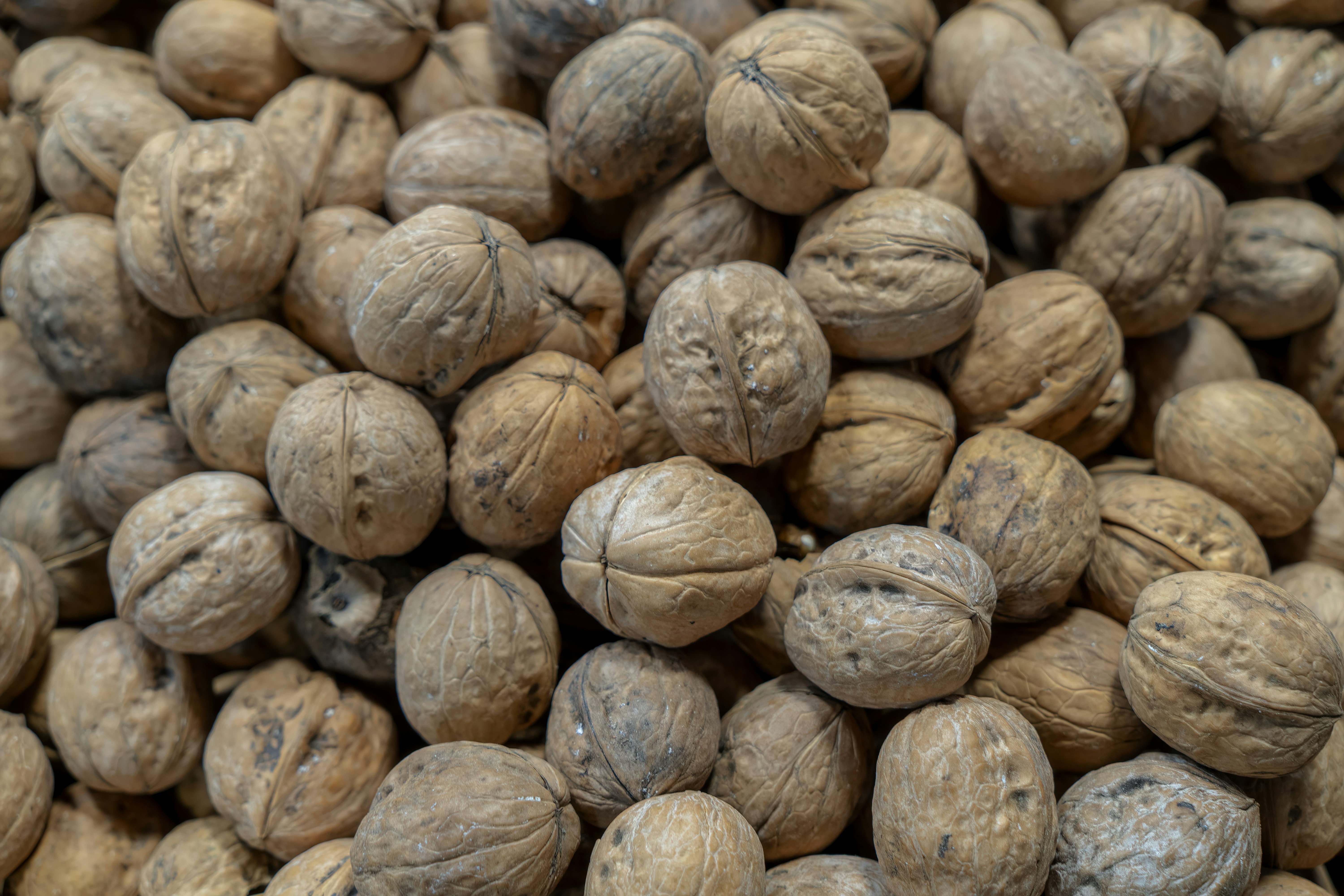 Photo by akbarnemati