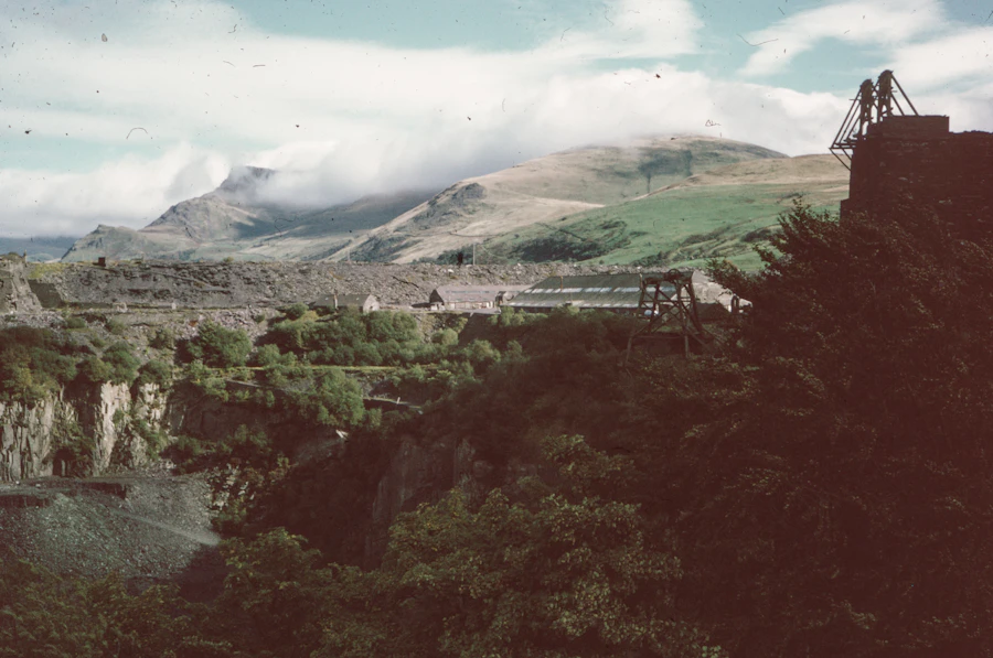 A train travelling through Darjeeling's green countryside