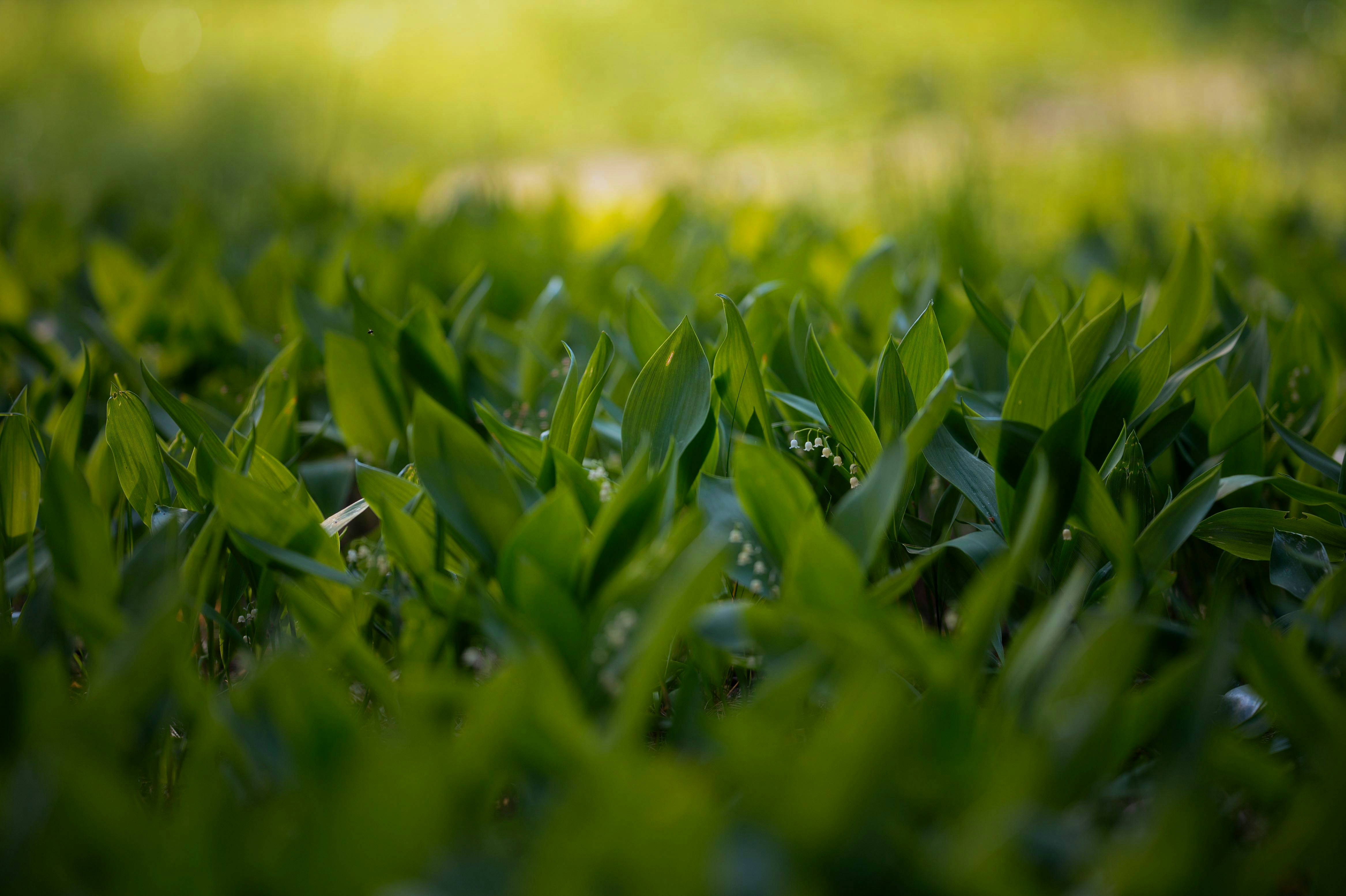 Photo by evil_bumblebee