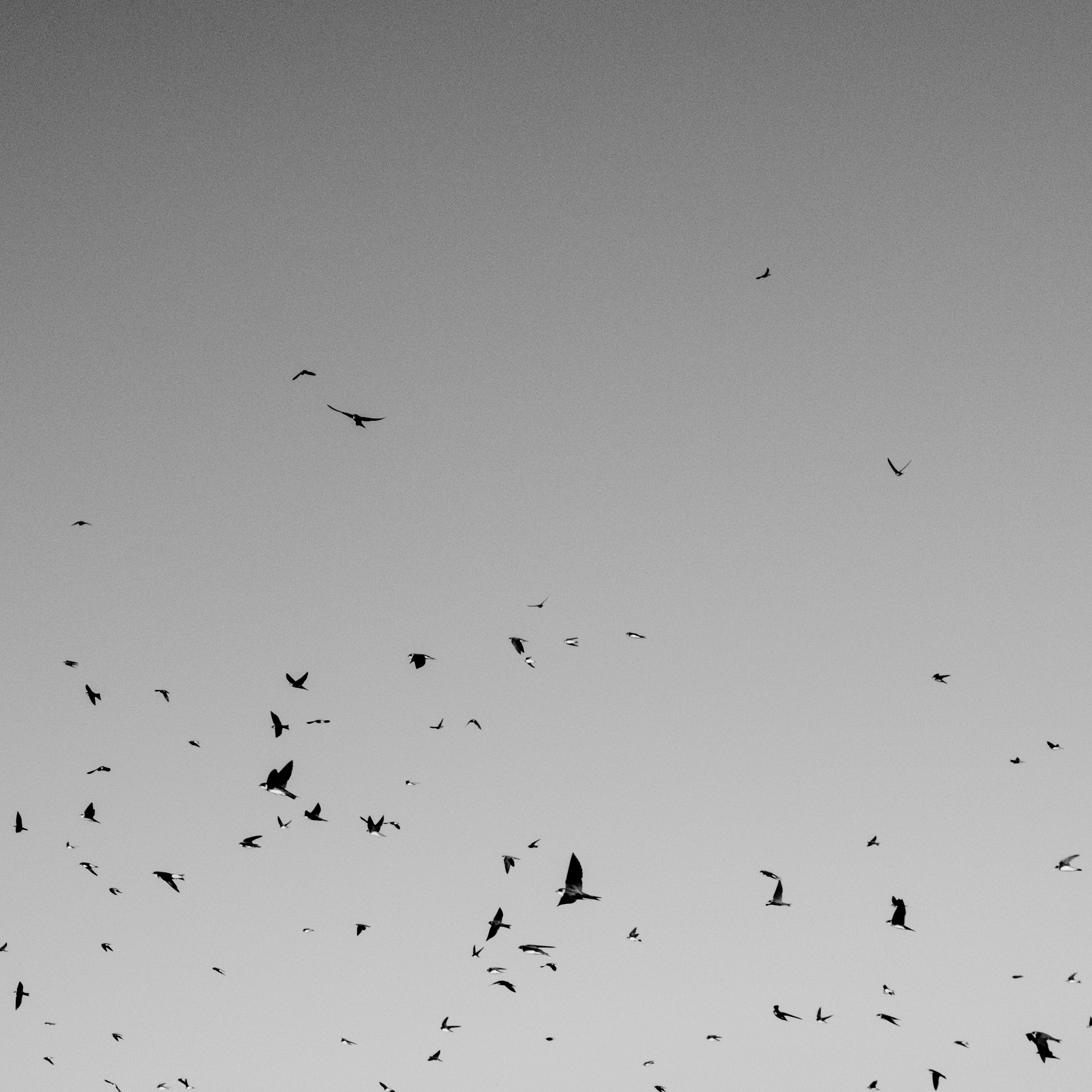 Photo by evil_bumblebee