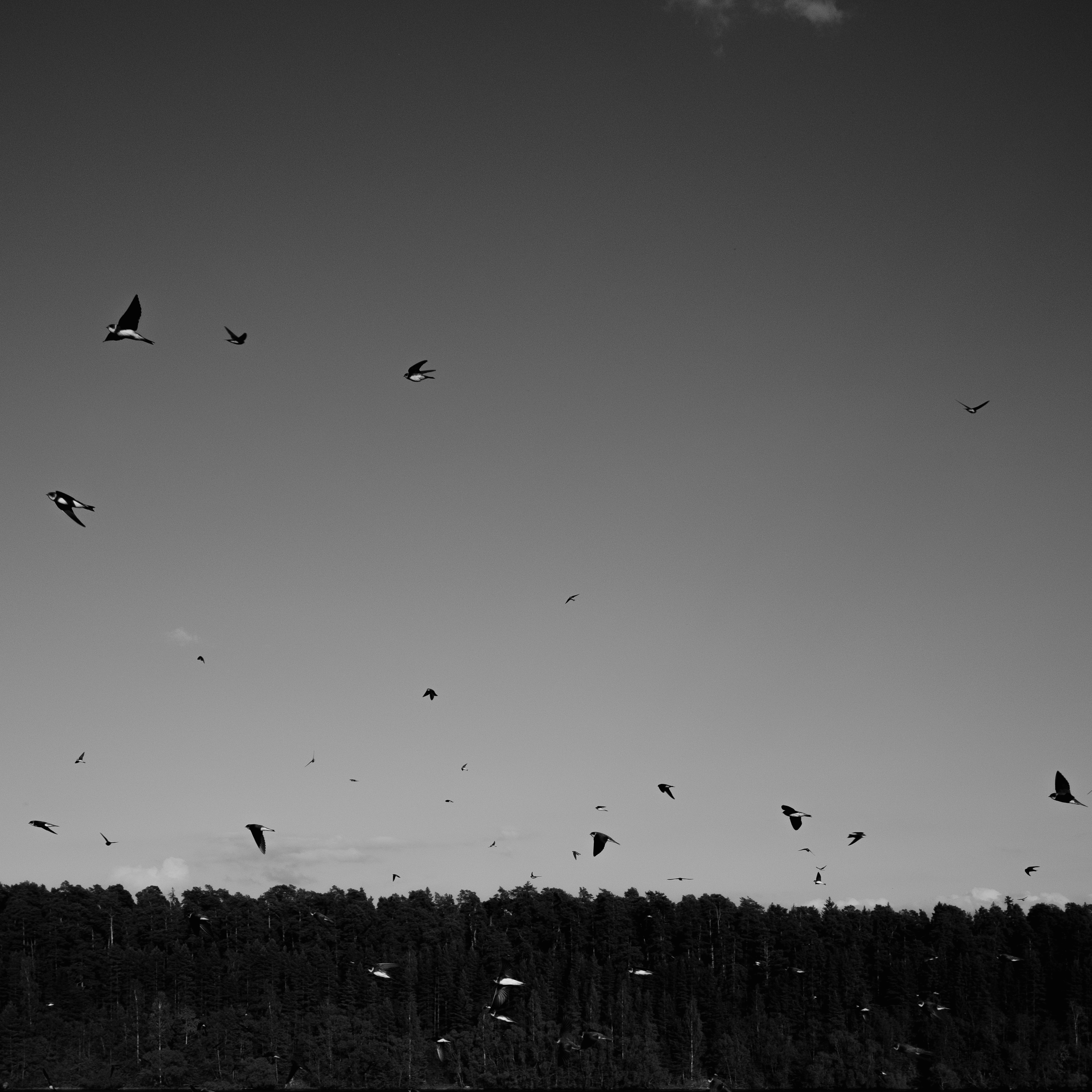 Photo by evil_bumblebee