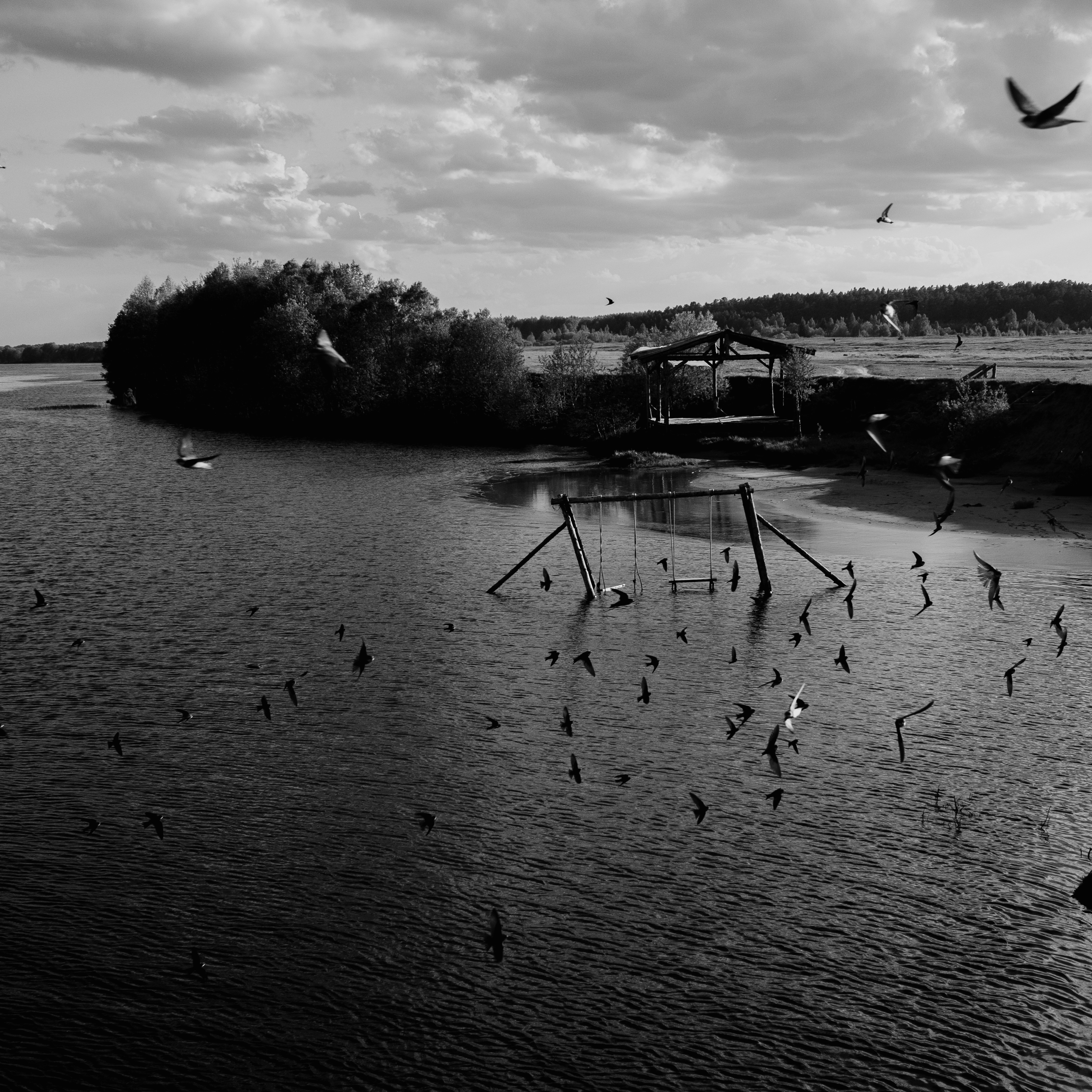 Photo by evil_bumblebee